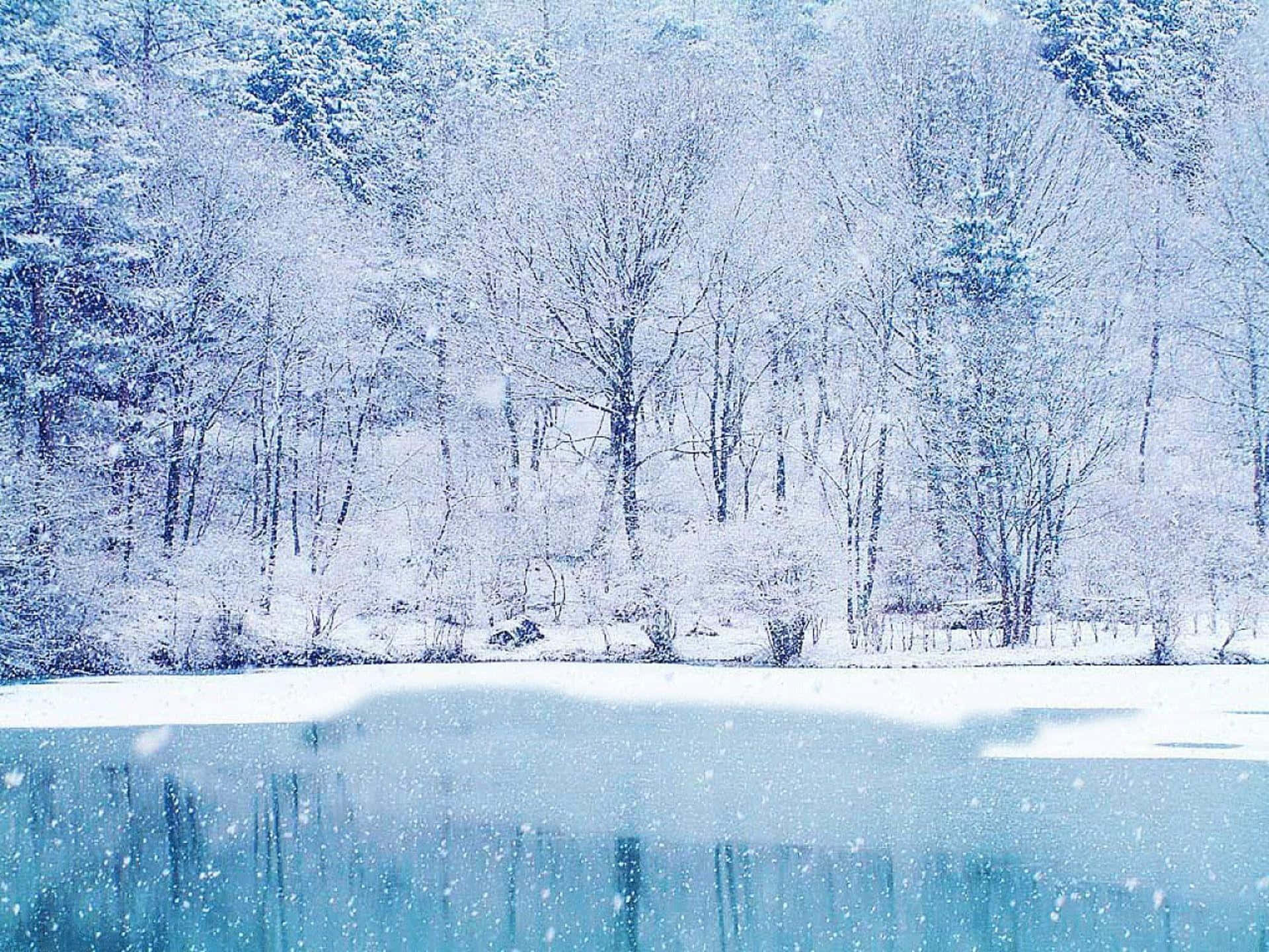 冰 桌布 壁紙 — 白雪覆蓋光禿的樹木和結冰的湖泊，在柔和的藍色冬日天空下飄落雪花。