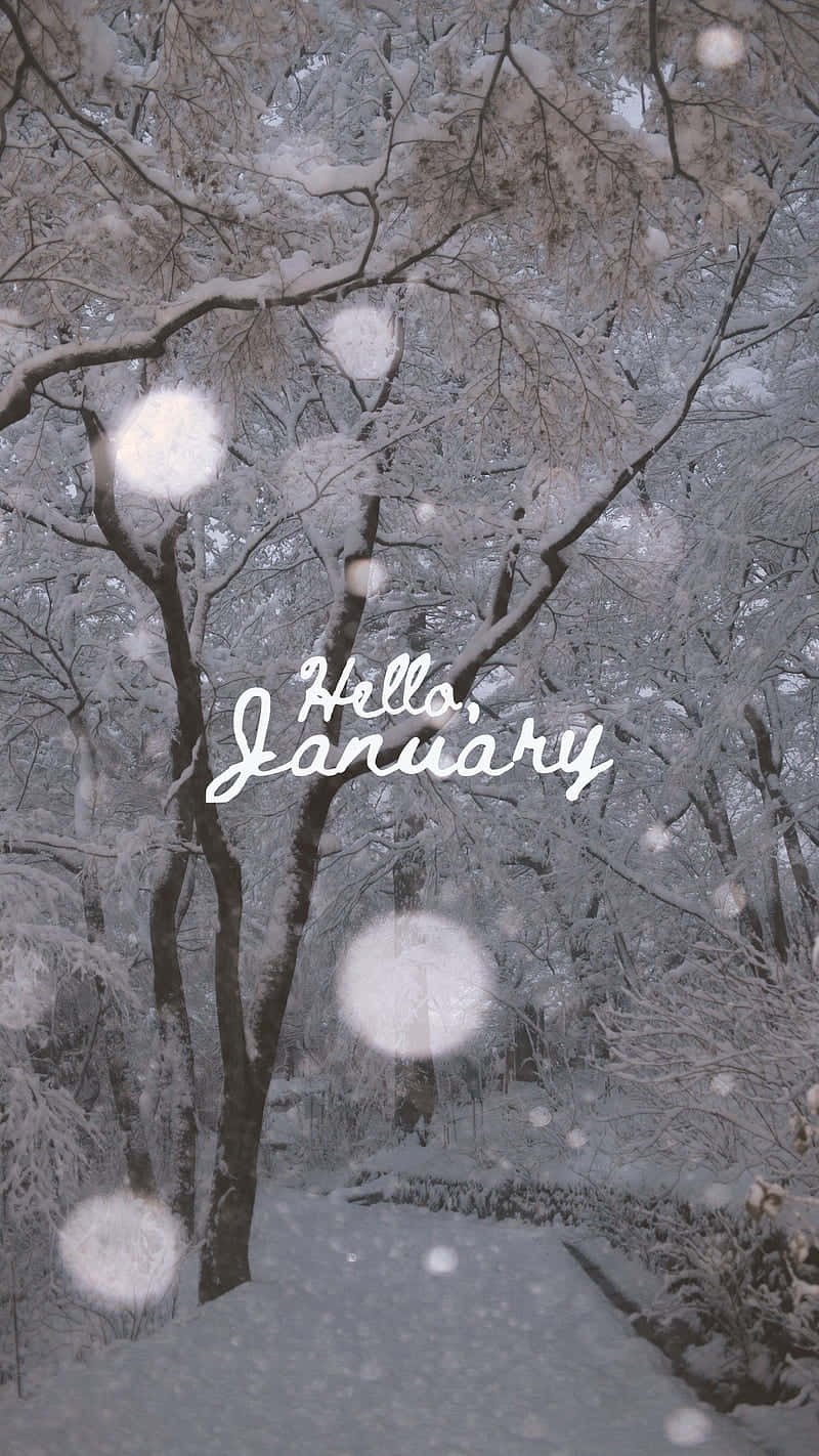 Hello January 桌布 壁紙 — 白雪覆蓋光禿的樹枝和蜿蜒的小徑，在柔和的灰色天空下，漂浮著散景球體，並有草書文字寫著 Hello January。