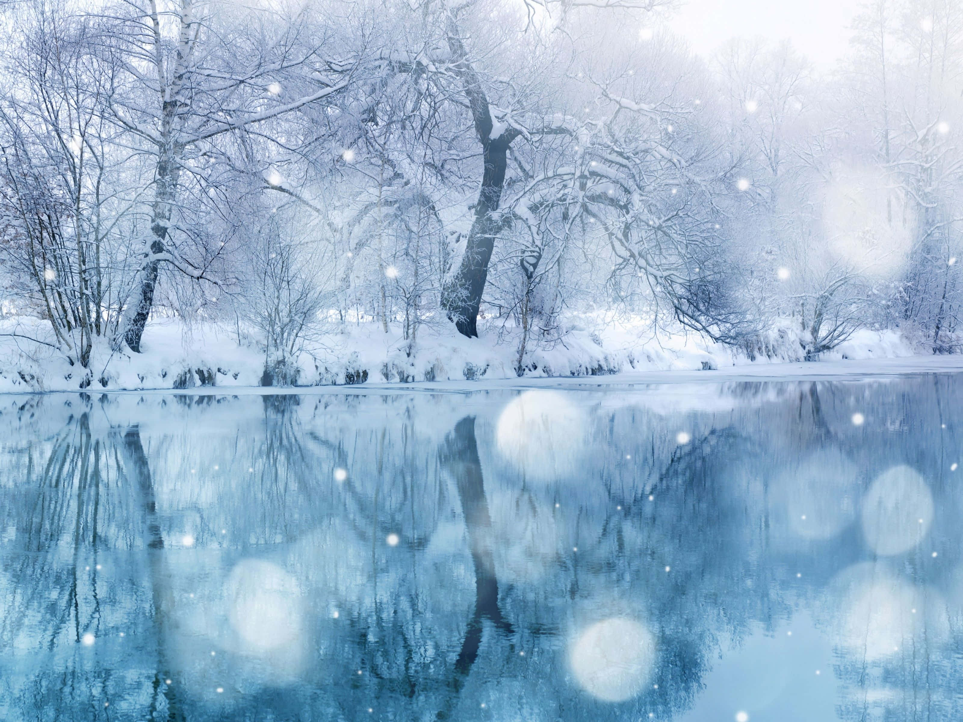 冬季美學 桌布 壁紙 — 白雪覆蓋光禿禿的樹木，旁邊平靜的河流在柔和的藍色冬日天空下映照出它們的輪廓。