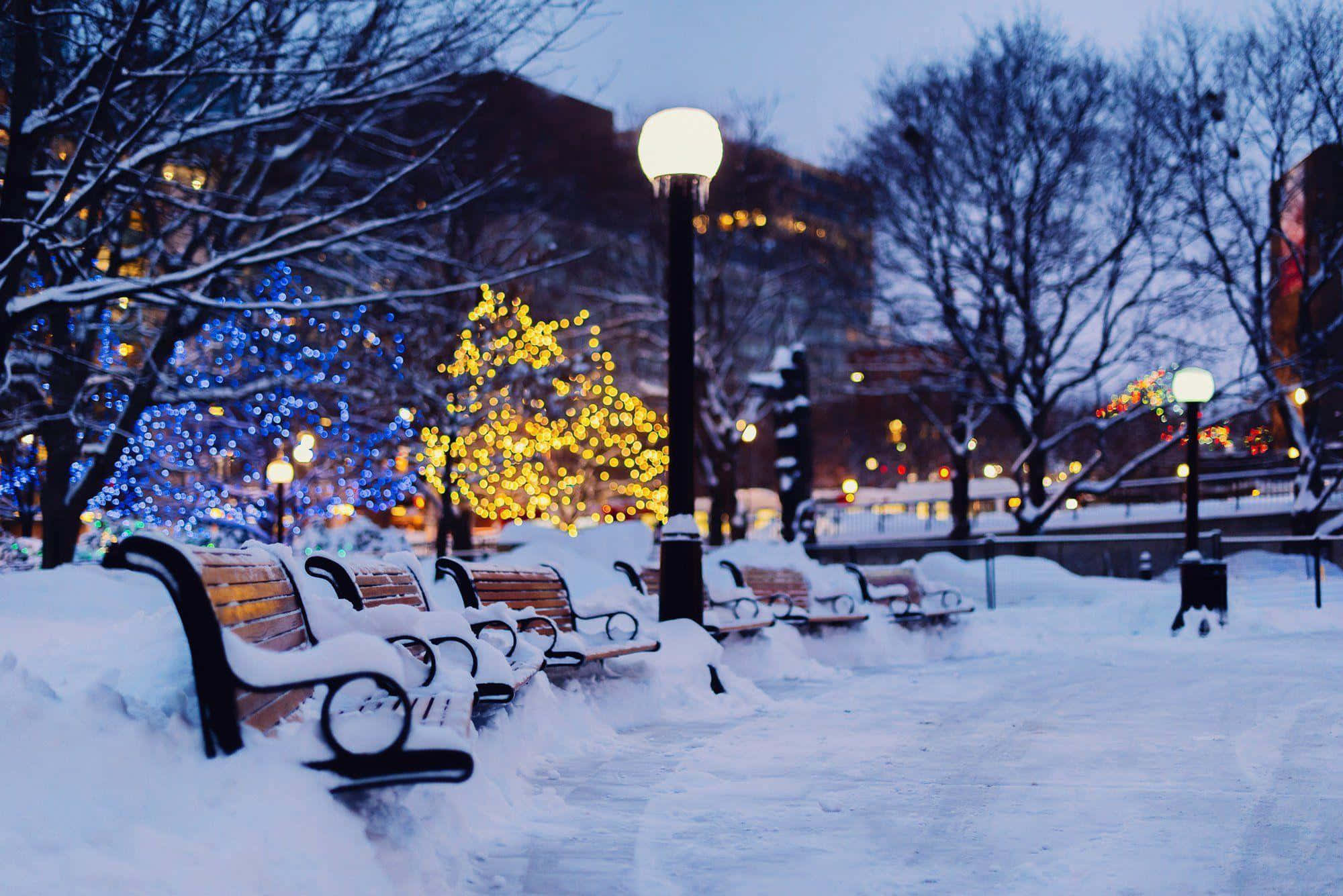 Winter Cityscape 桌布 壁紙 — 白雪覆蓋公園長椅，在閃爍的節日燈光下，暮色籠罩著寧靜的城市冬日景象。