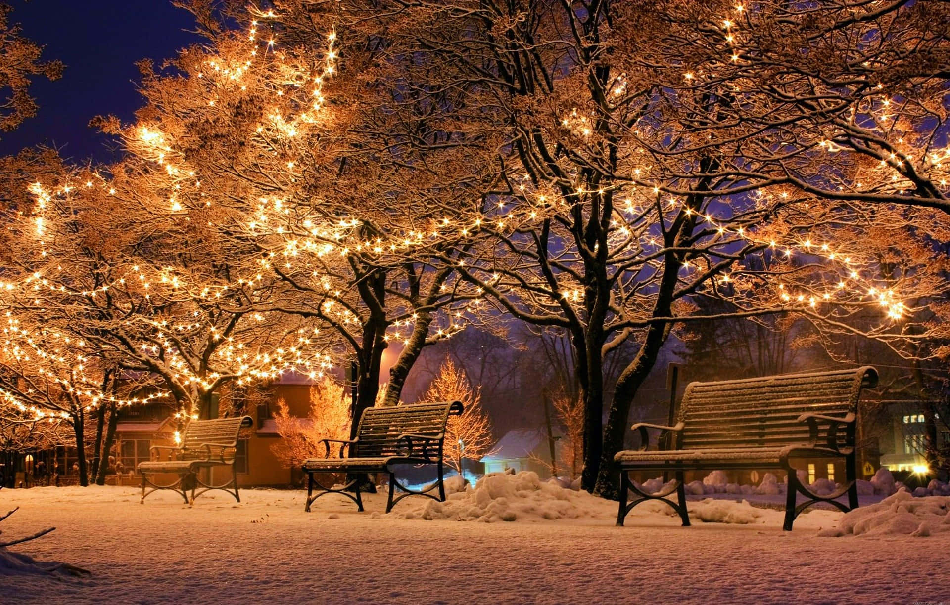 聖誕燈飾 桌布 壁紙 — 白雪覆蓋公園長椅，閃爍的燈串纏繞在冬日樹枝上，營造出溫馨寧靜的節日氛圍。