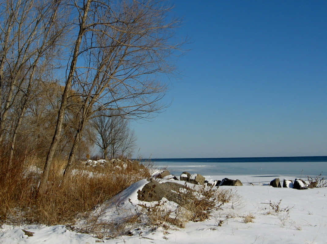 Lake Erie 桌布 壁紙 — 白雪覆蓋冰凍的湖岸，在清澈的藍天下，前景有光禿的樹木和岩石。