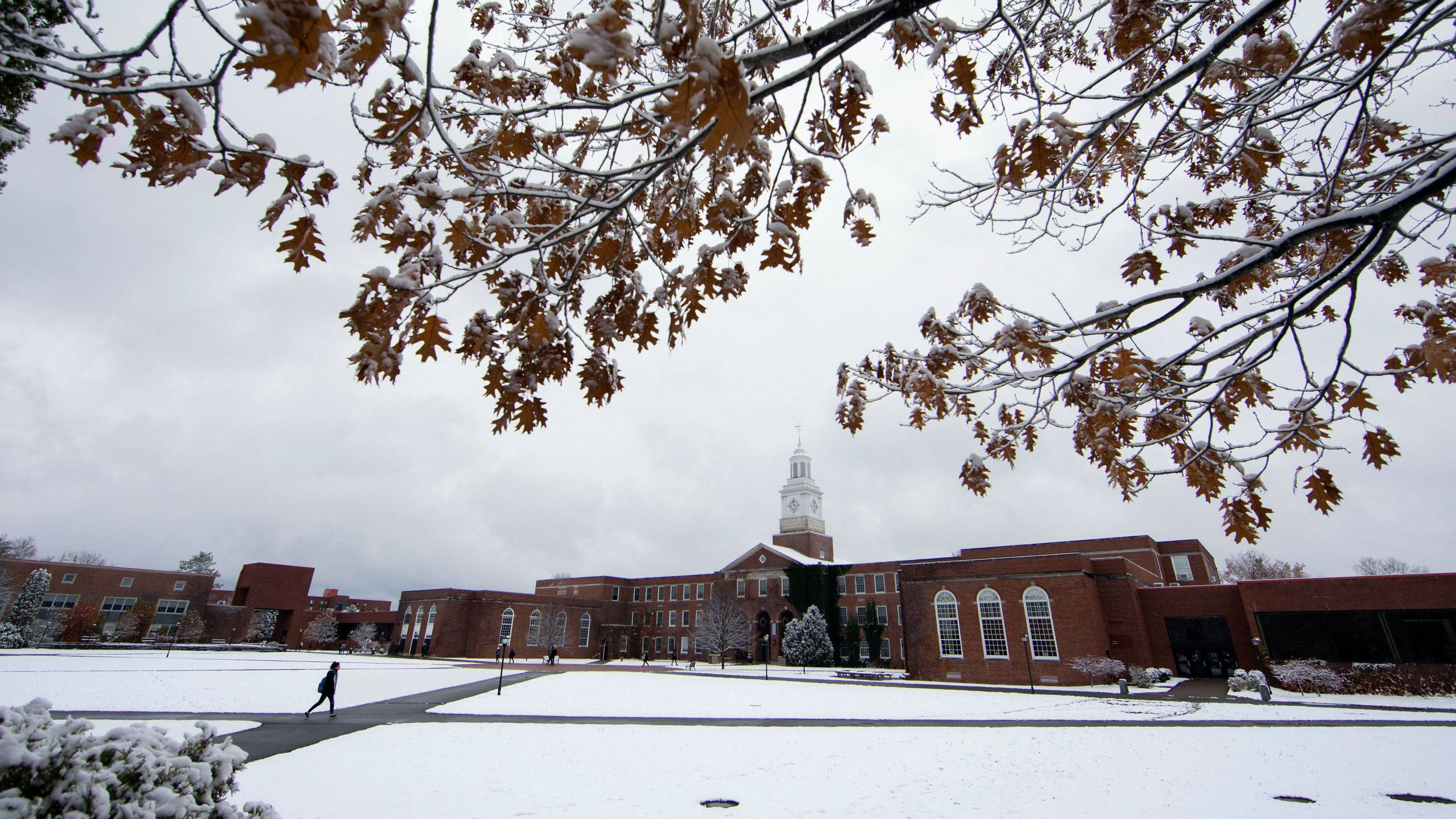 New York 桌布 壁紙 — 白雪覆蓋大學校園，磚造建築和橡樹在陰天天空下保留著最後的秋葉。