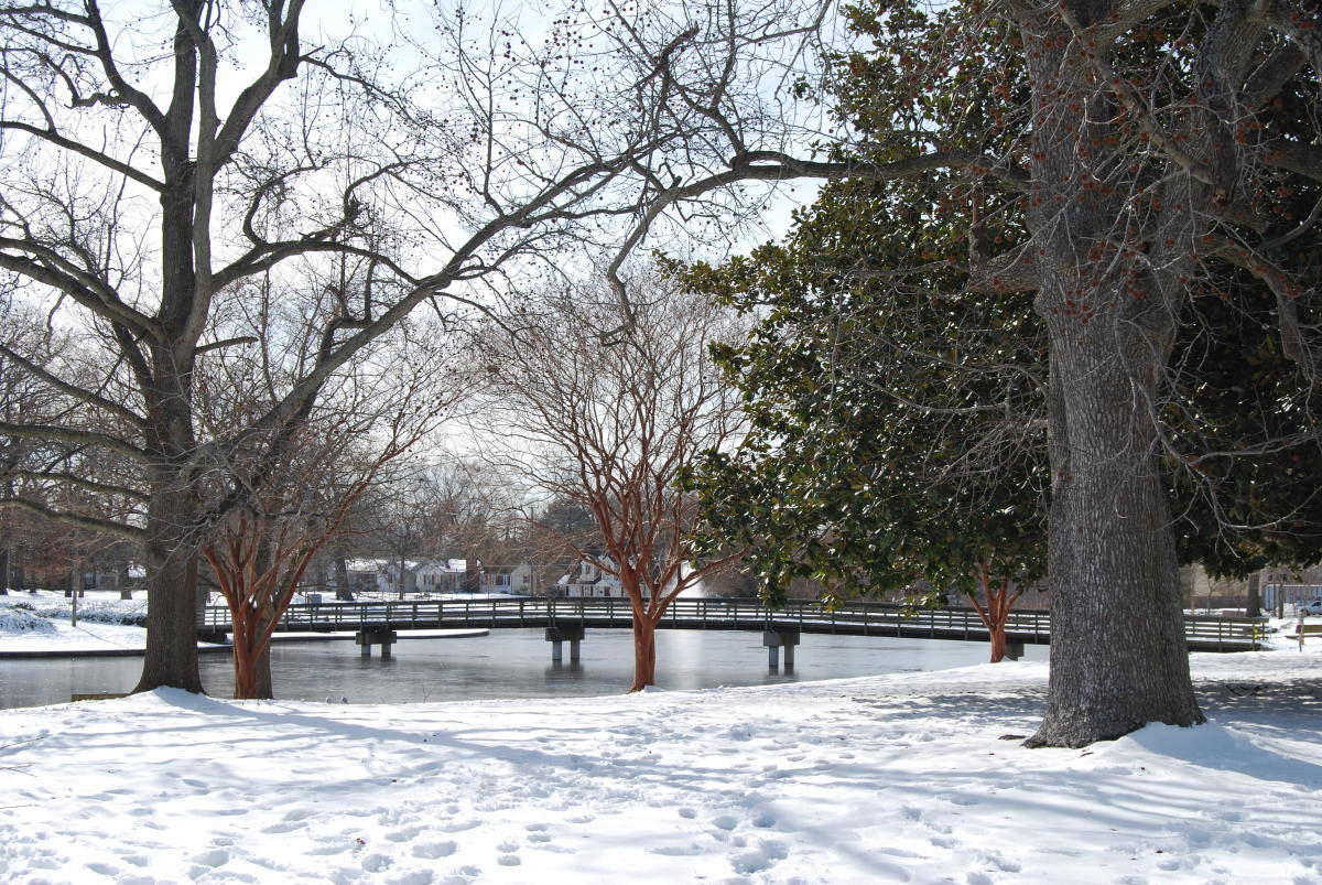  壁紙 — 白雪覆蓋寧靜的公園，光禿的樹木和結冰的池塘在明亮的冬日天空下。
