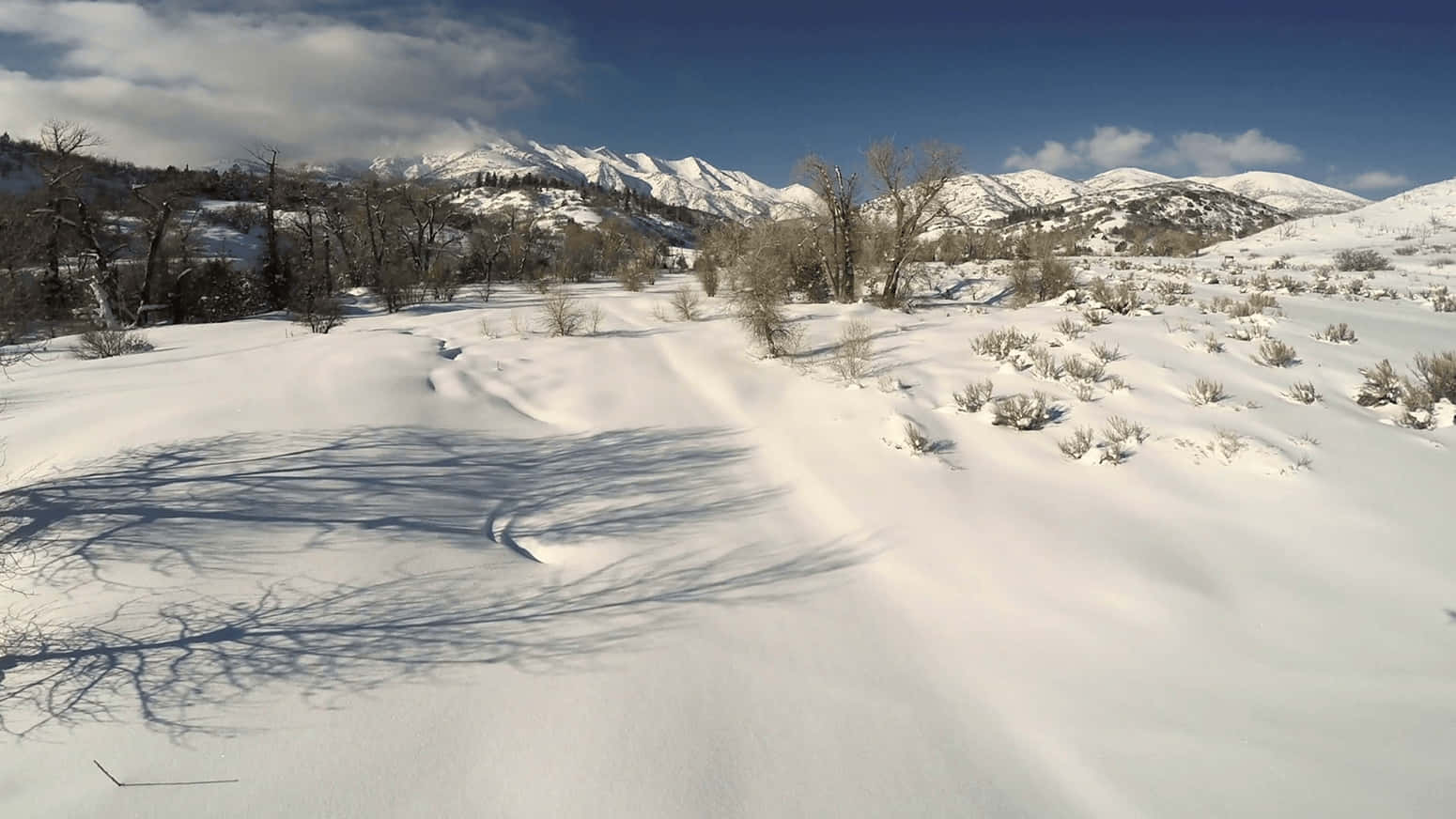 Snow 4K 桌布 壁紙 — 白雪覆蓋寧靜的冬季山谷，光禿禿的樹木在明亮的藍天下投下長長的影子。