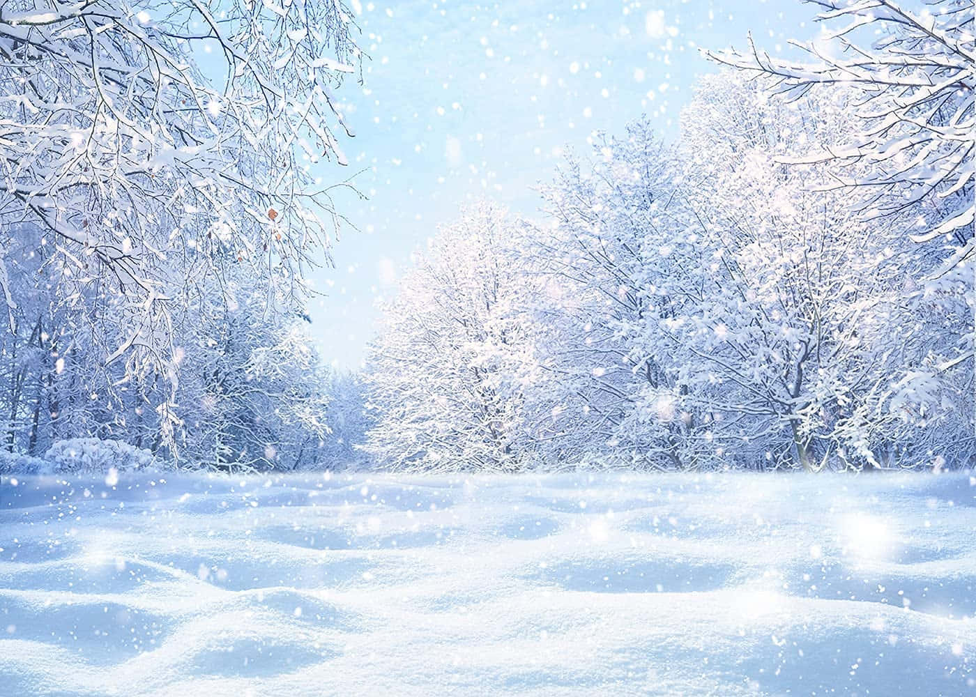 冬天 桌布 壁紙 — 白雪覆蓋寧靜的冬季森林，明亮的藍天下飄落的雪花捕捉光線。