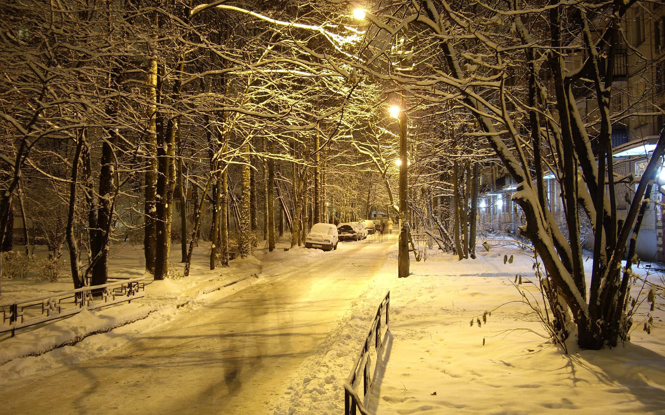 Winter Scenery Desktop 桌布 壁紙 — 白雪覆蓋寧靜的城市街道，夜晚被溫暖的路燈照亮，在光禿的樹木和停泊的汽車上投下金色的光芒。