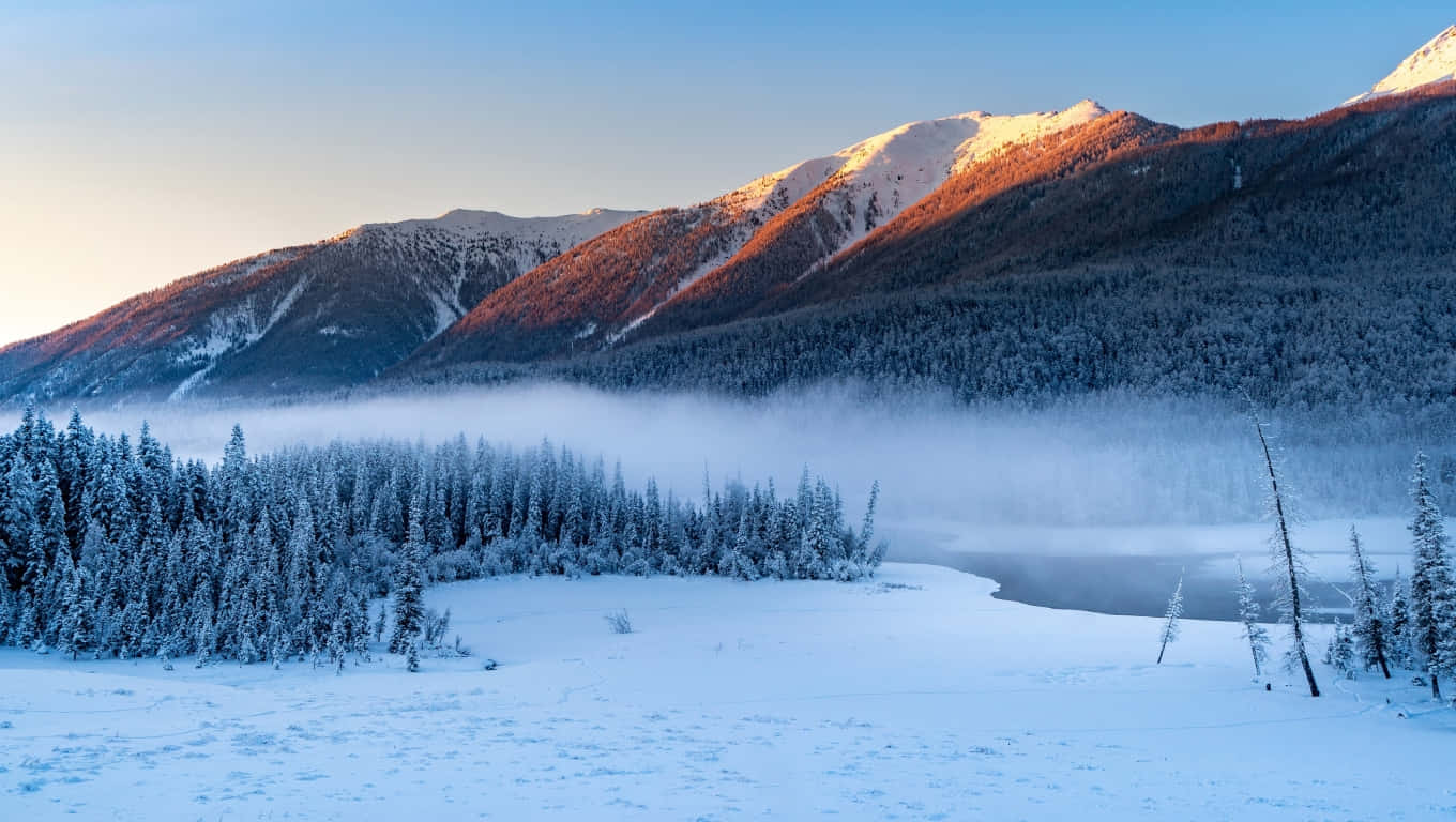 Winter Laptop 桌布 壁紙 — 白雪覆蓋寧靜的山谷，霧氣在冰凍的樹木上繚繞，金色山脈下迎來日出。