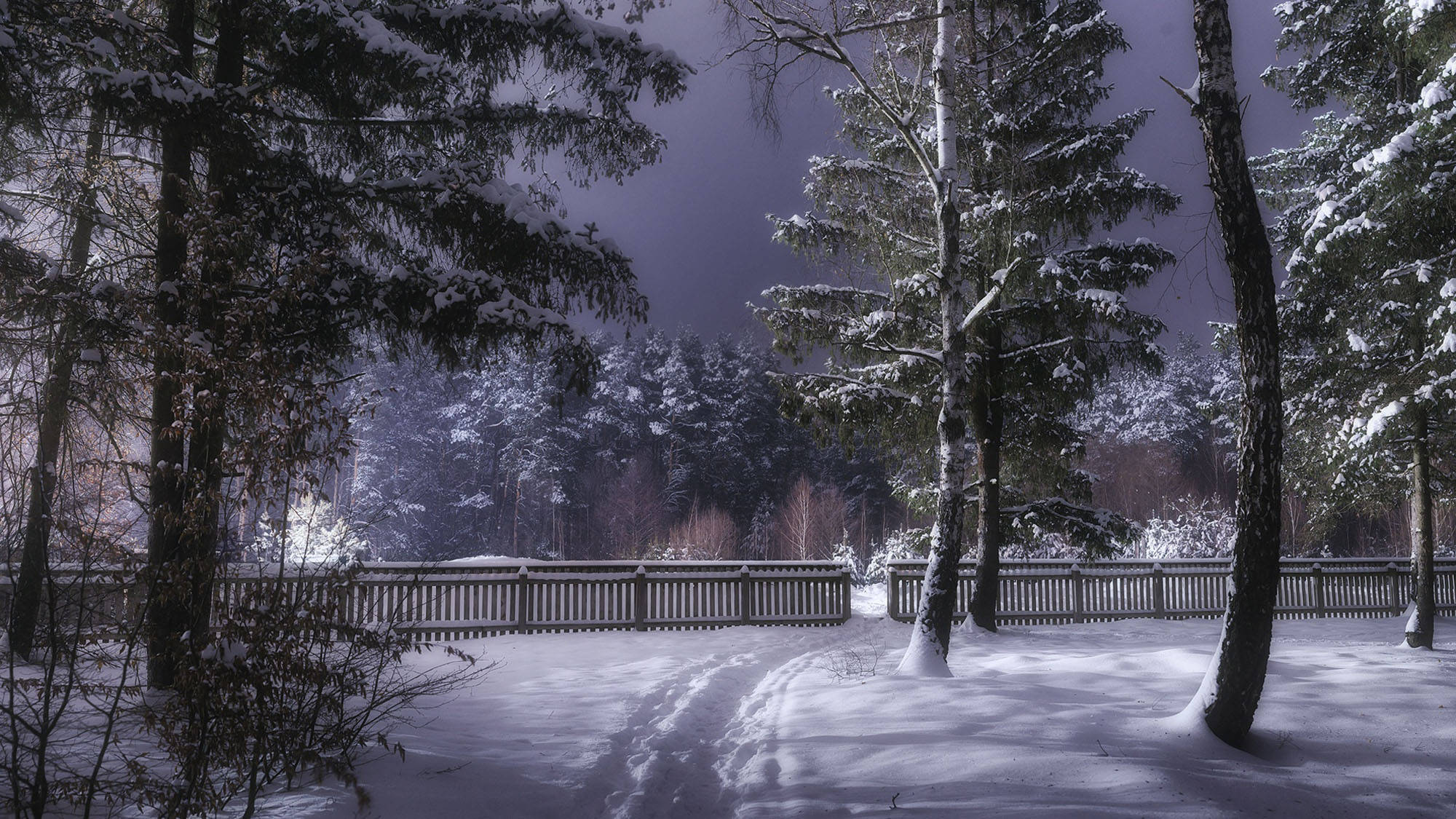 Ukraine 桌布 壁紙 — 白雪覆蓋寧靜的森林小徑，夜晚時分，腳印在黑暗天空下通向木柵欄。