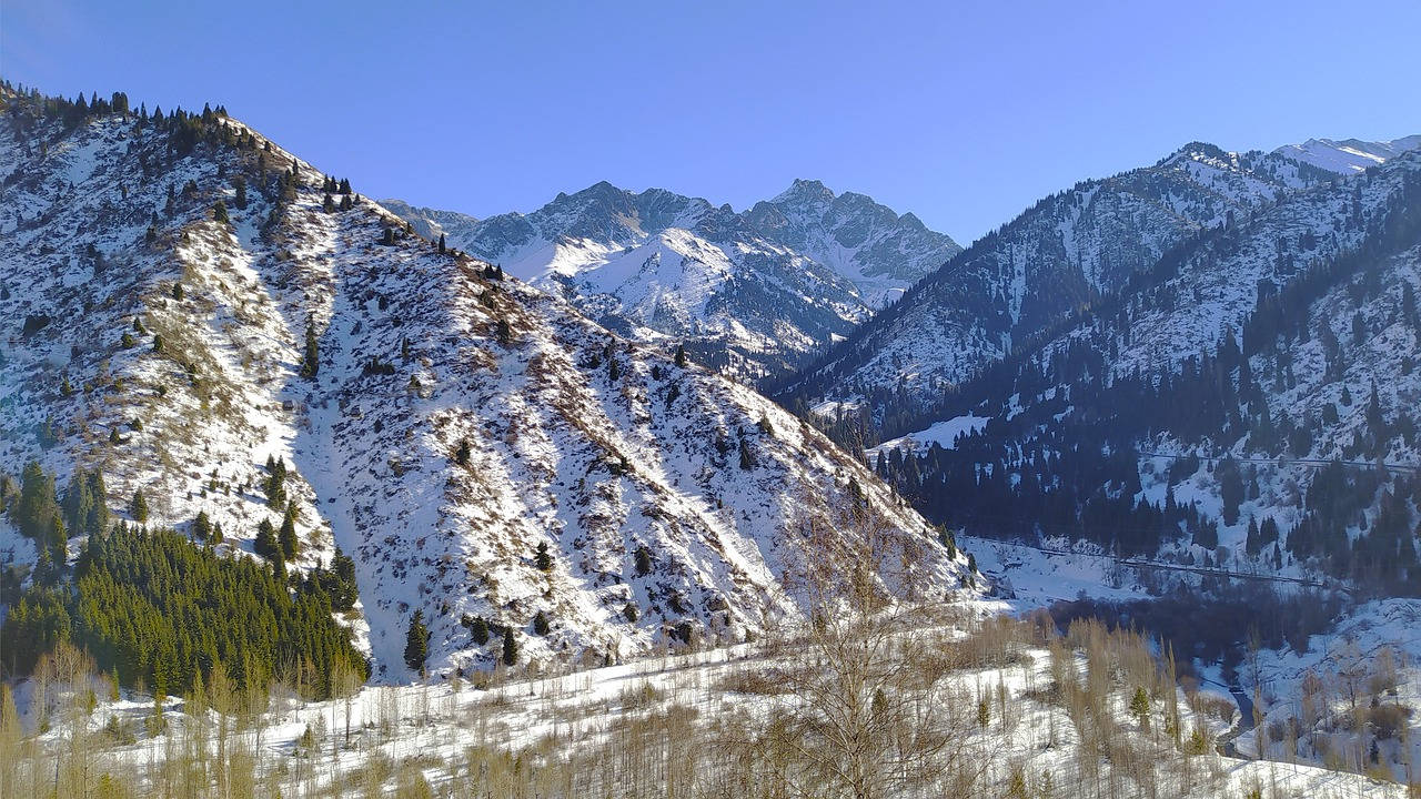 Kazakhstan 桌布 壁紙 — 白雪覆蓋崎嶇的山坡，在晴朗的藍天下，常綠森林緊貼山頂。