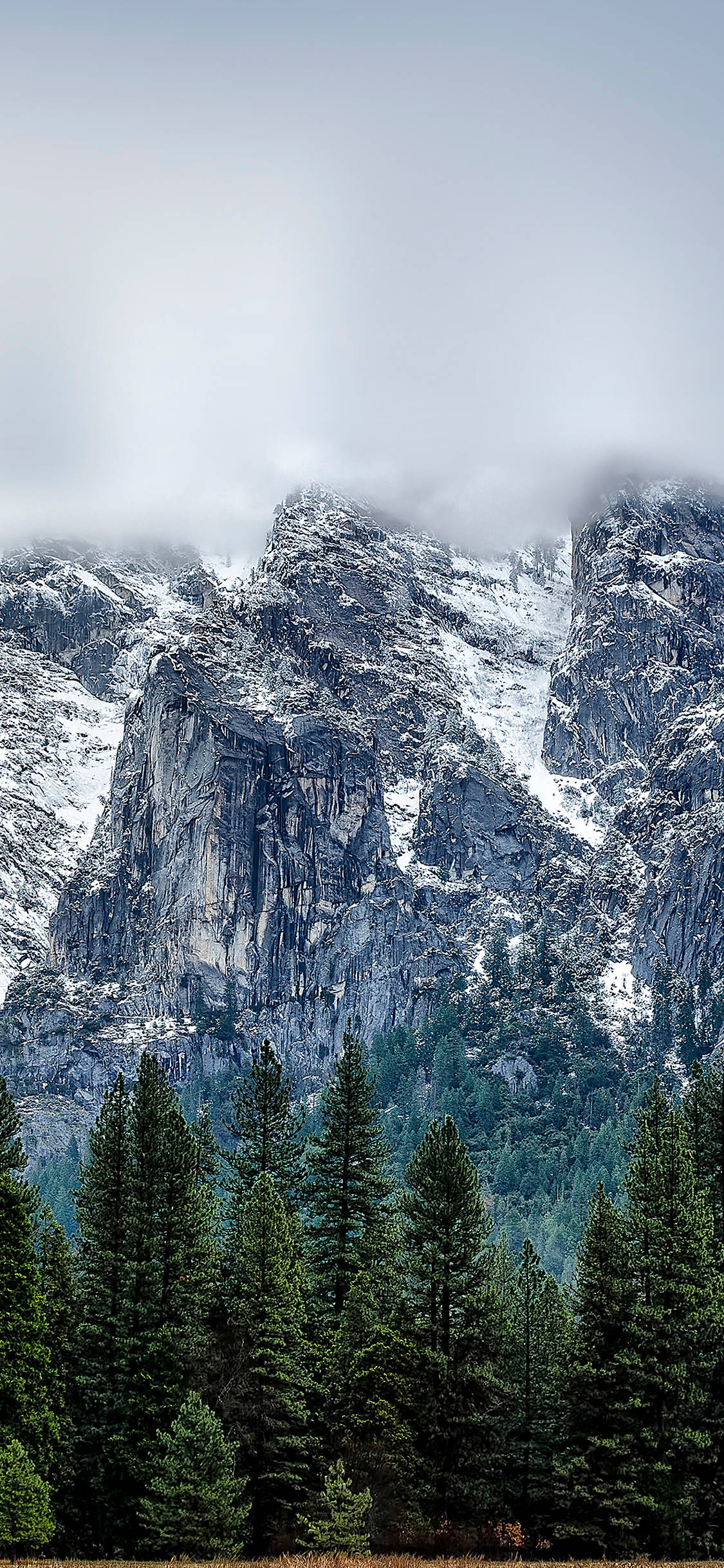 Yosemite iPhone 桌布 壁紙 — 白雪覆蓋崎嶇的山峰，常青樹在陰天之下高高聳立。