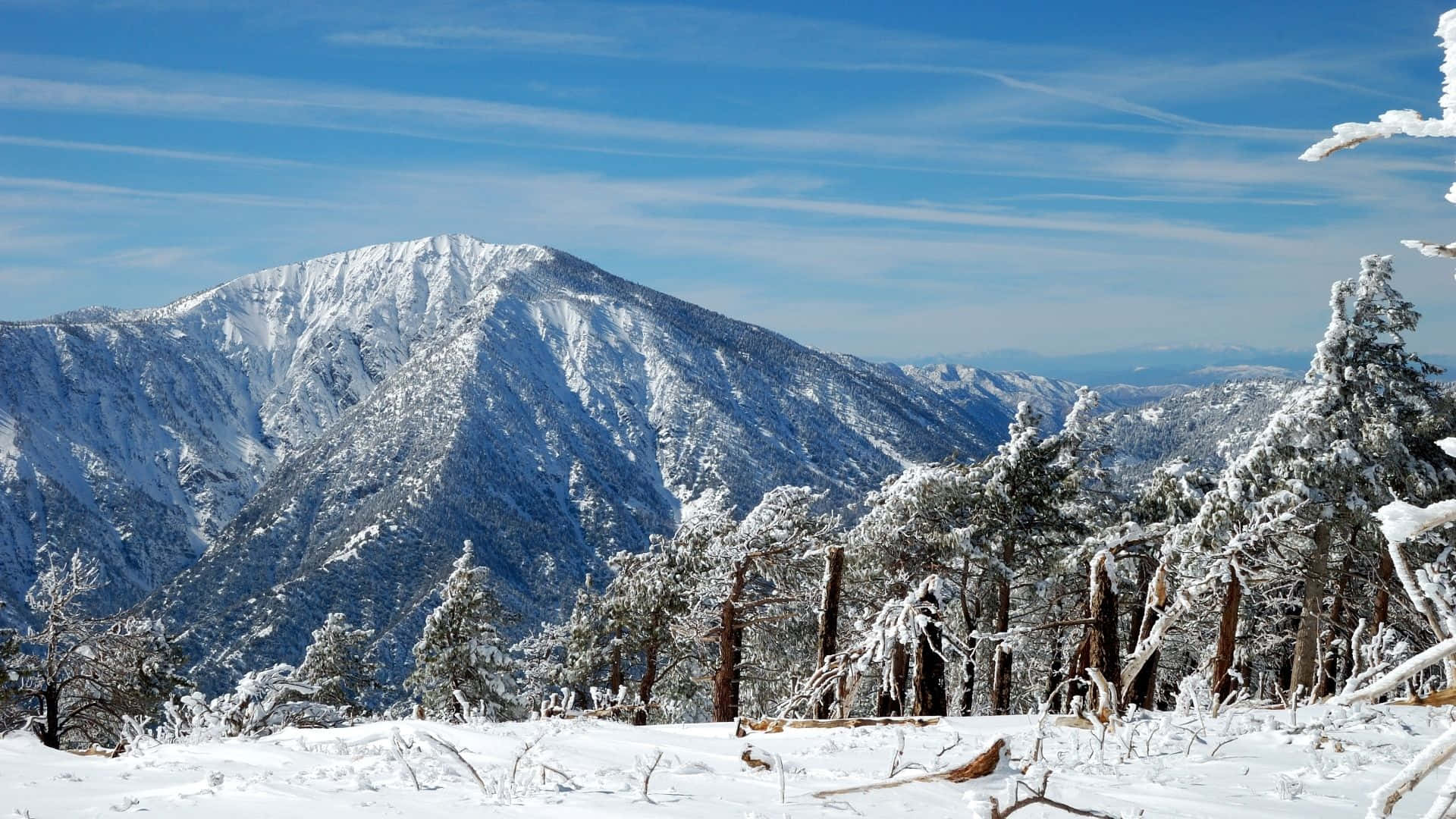 冬天 桌布 壁紙 — 白雪覆蓋崎嶇的山峰和結霜的松樹，天空湛藍清澈。
