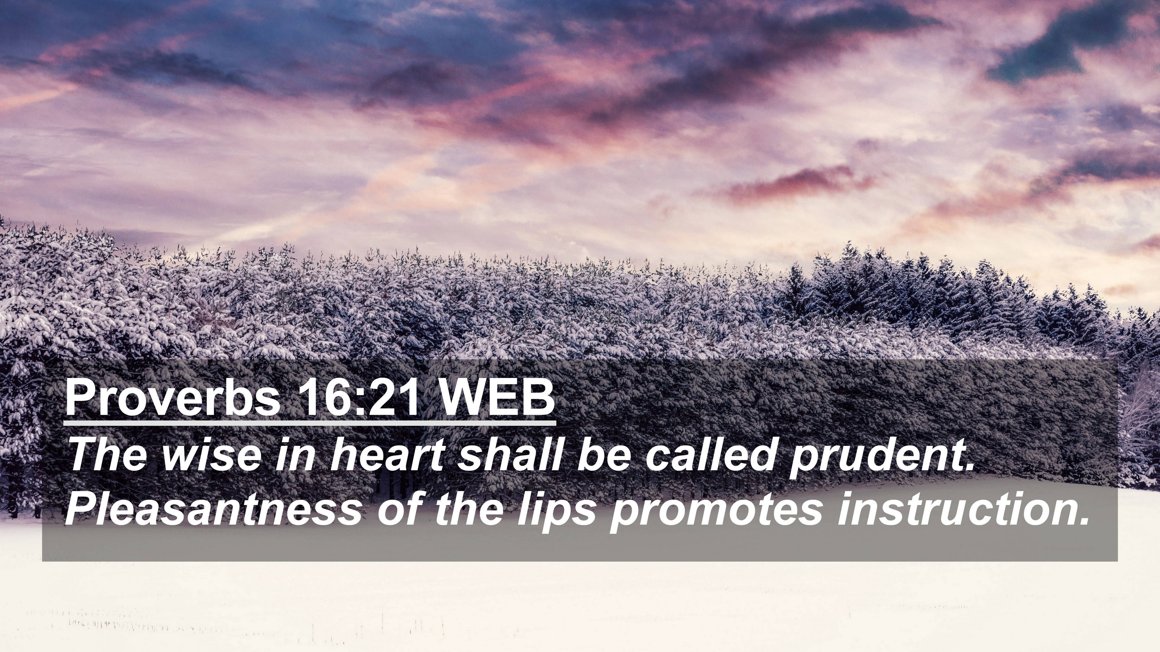 Bible Quotes 桌布 壁紙 — 白雪覆蓋常綠樹，在戲劇性的紫色和粉紅色暮色天空下，帶有經文疊加。
