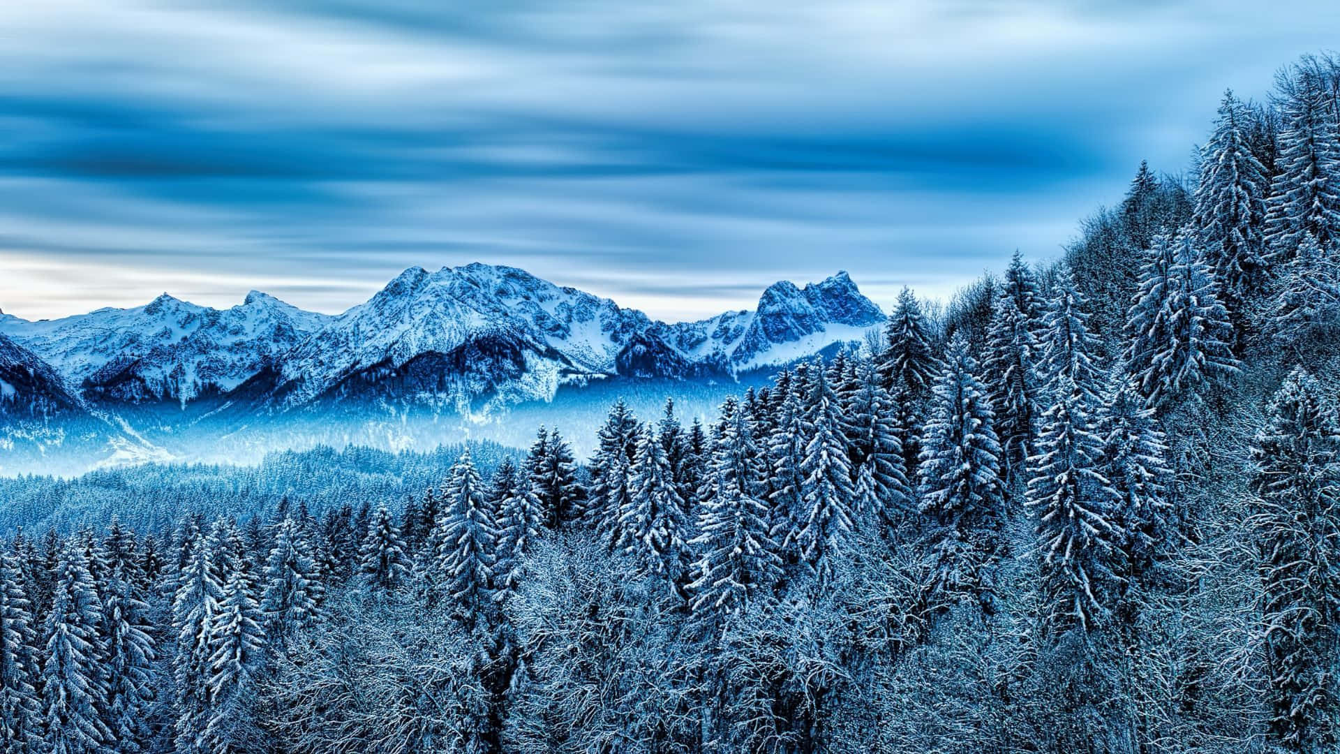 Winter Forest 桌布 壁紙 — 白雪覆蓋常綠樹和鋸齒狀山峰，天空憂鬱藍色，雲彩呈條紋狀。
