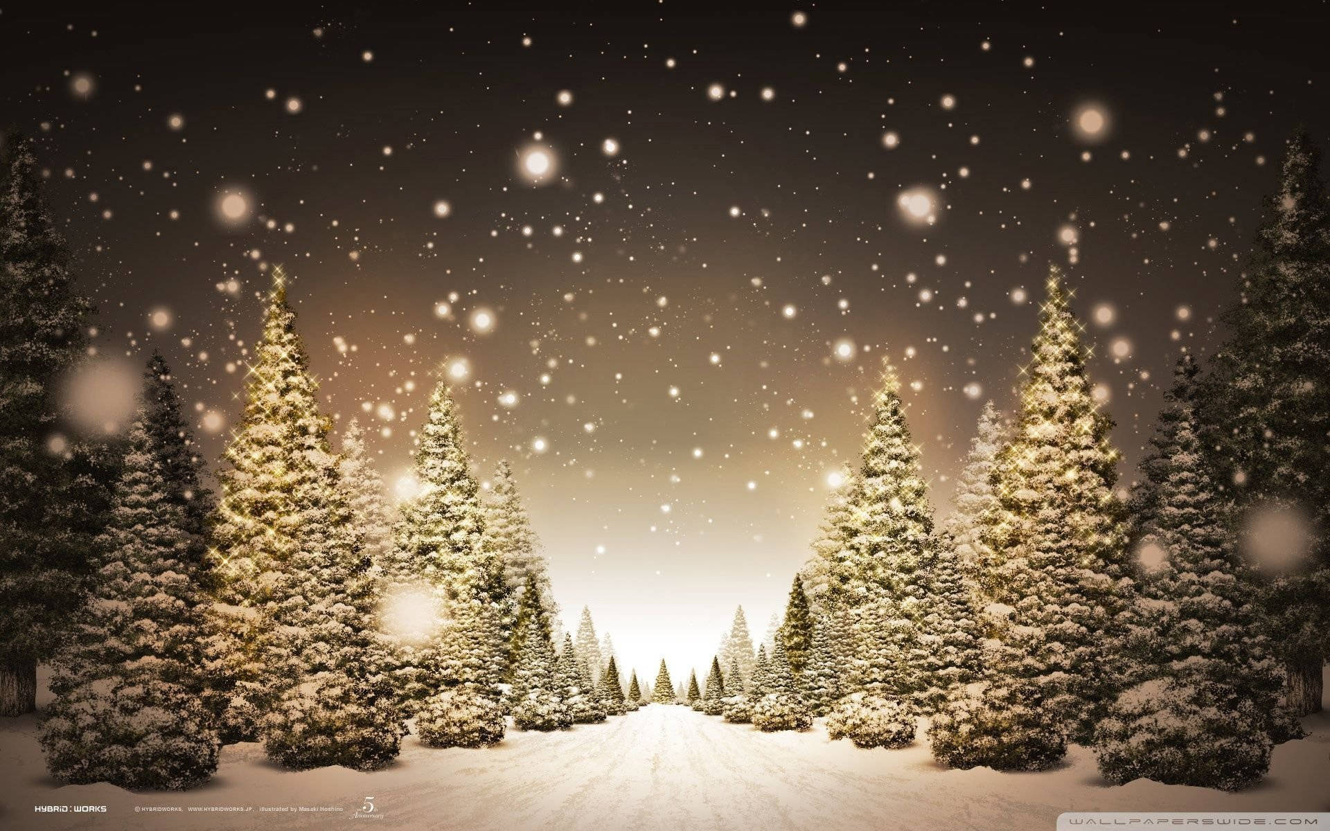 聖誕節 桌布 壁紙 — 白雪覆蓋常青樹，在繁星點點的夜空下，柔和的光芒穿過飄落的雪花閃爍。