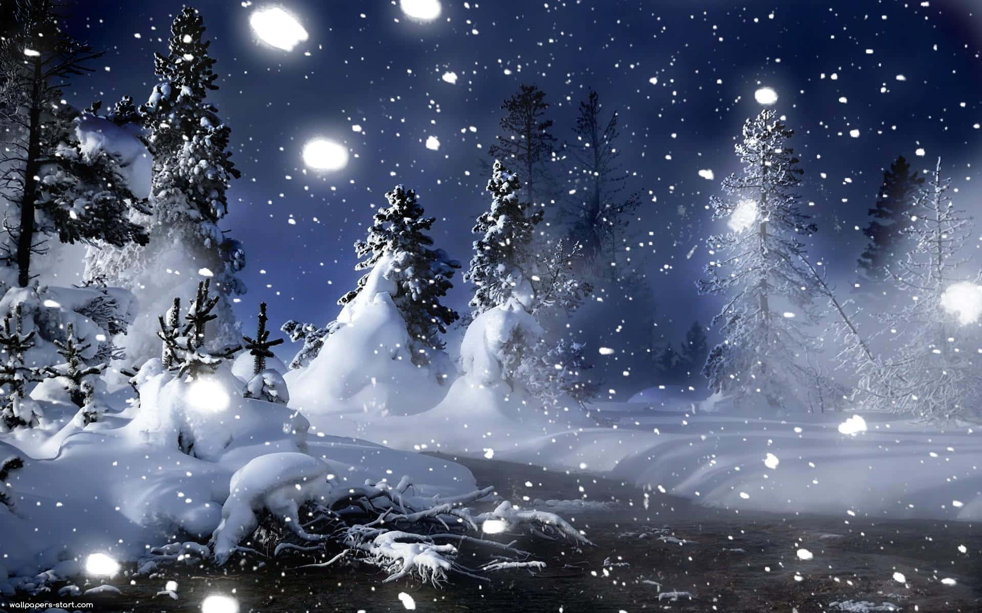 Winter Art 桌布 壁紙 — 白雪覆蓋松樹，在星空下，發光球體照亮冰凍的森林場景。