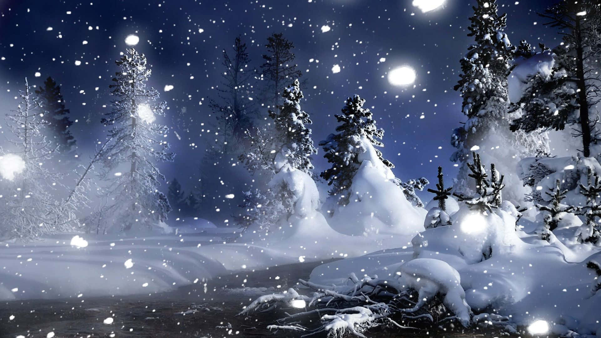 Winter Aesthetic 桌布 壁紙 — 白雪覆蓋松樹，在繁星點點的夜空下，發光的球體照亮了冰凍的森林。