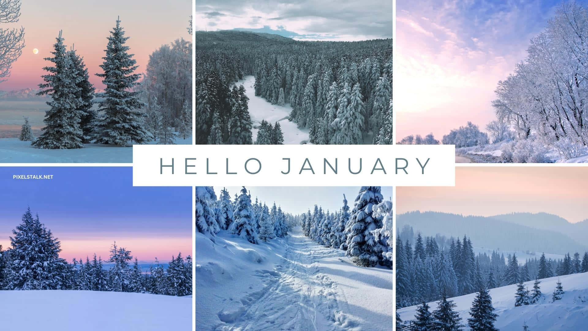 Hello January 桌布 壁紙 — 白雪覆蓋松樹林，在柔和粉紅與藍色暮色天空下，構成寧靜的冬季拼貼畫。