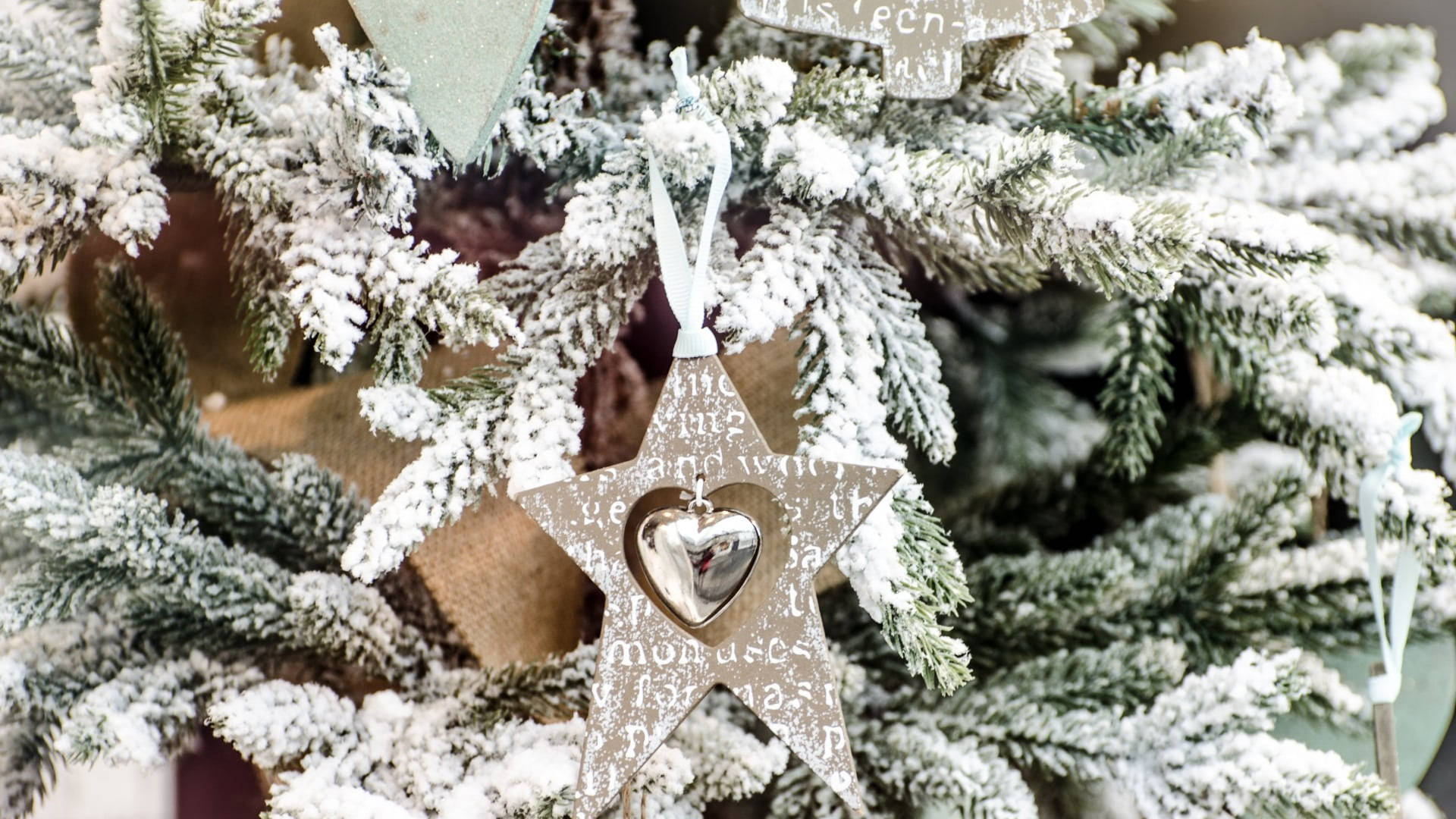 Silver Glitter 桌布 壁紙 — 白雪覆蓋的冷杉樹枝特寫，裝飾著一個質樸的星星飾品，裡面有一顆閃亮的心。