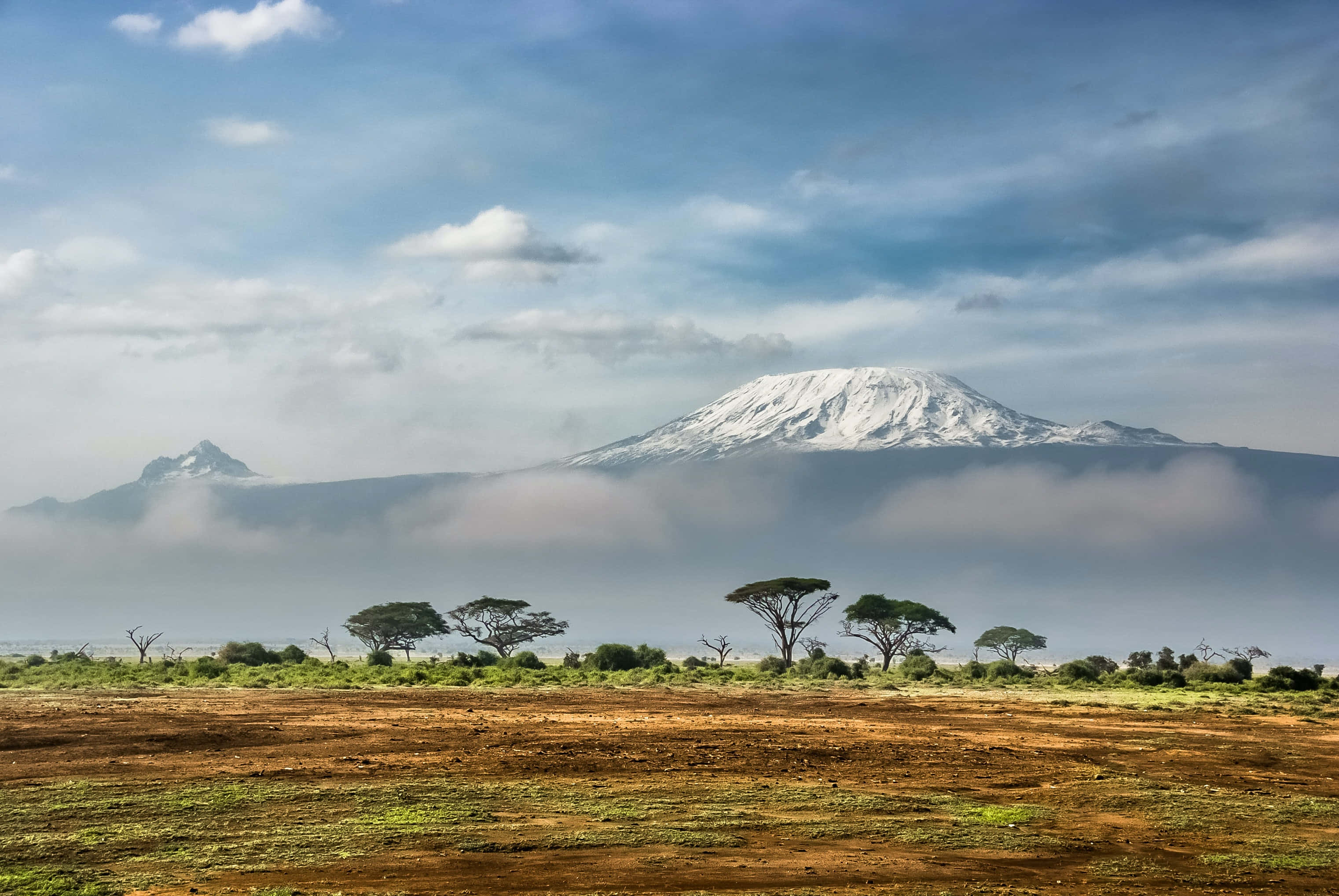 Tanzania 桌布 壁紙 — 白雪覆蓋的吉力馬札羅山雄偉地聳立在雲海之上，金合歡樹點綴在前景的稀樹草原上。