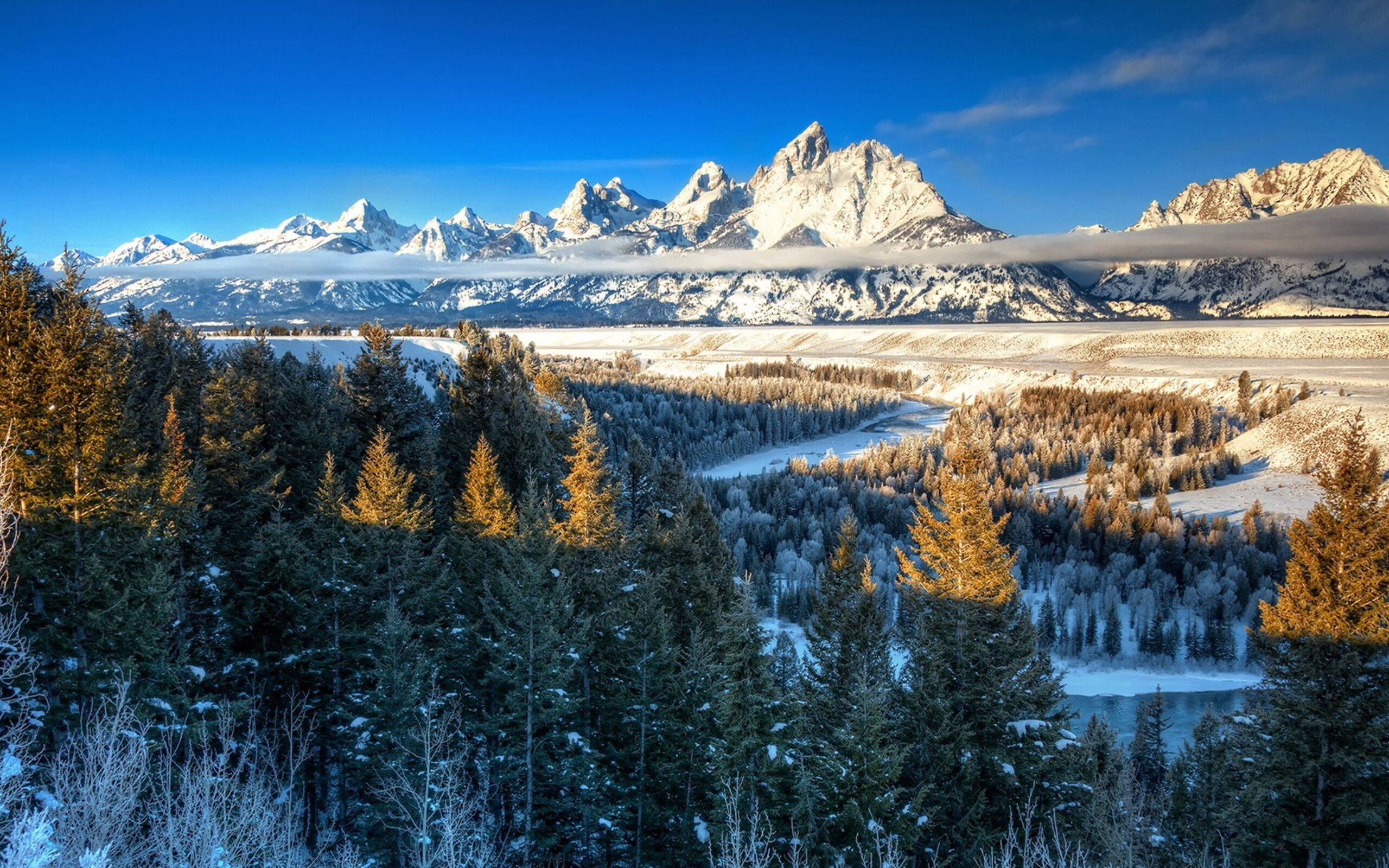 Yellowstone 桌布 壁紙 — 白雪覆蓋的大提頓峰在冰封的山谷和金色松樹之上，在清澈的藍天下雄偉地聳立。