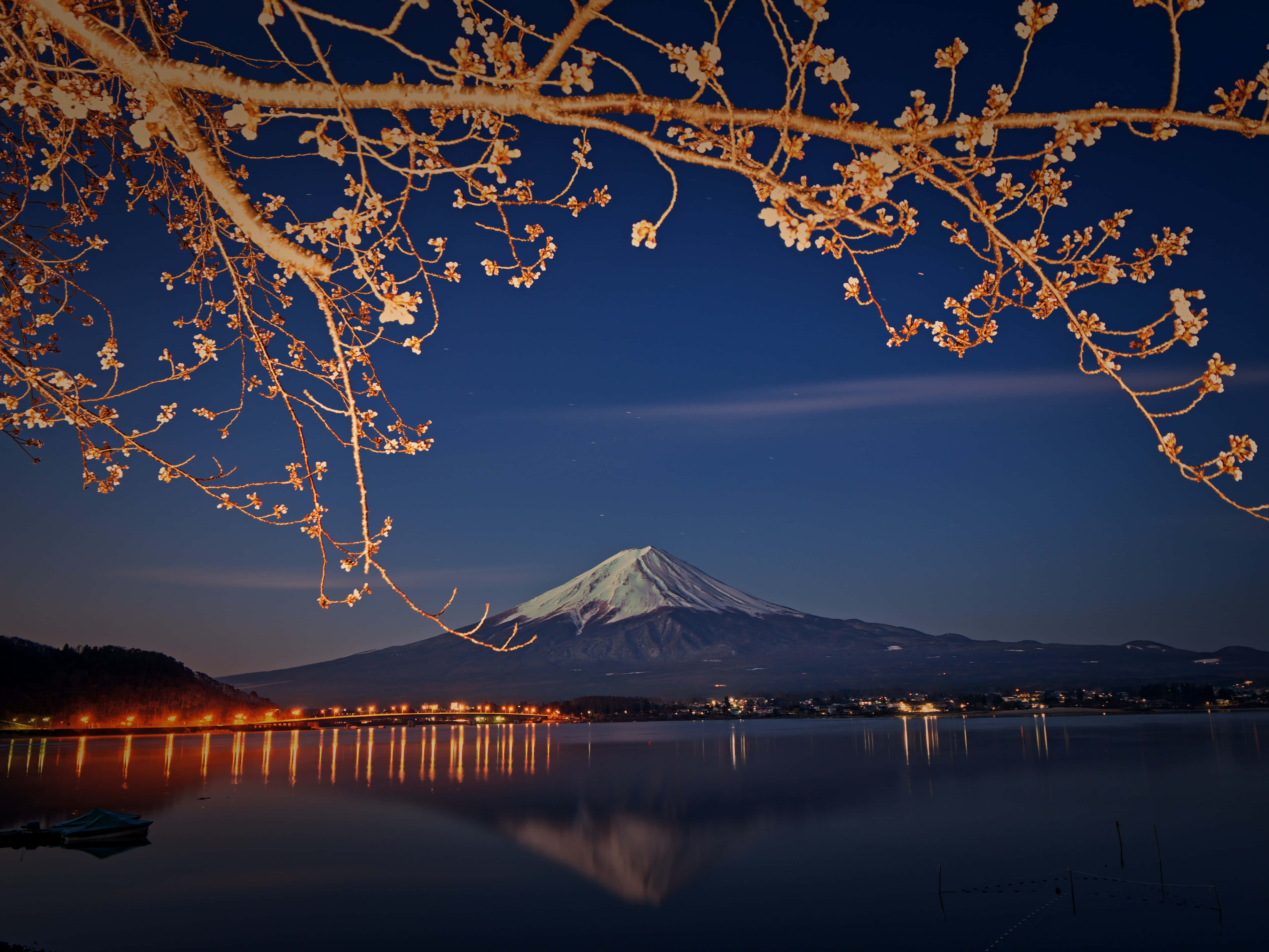 樹木 桌布 壁紙 — 白雪覆蓋的富士山在平靜的水面上倒映，星空下由發光的櫻花枝條框住。