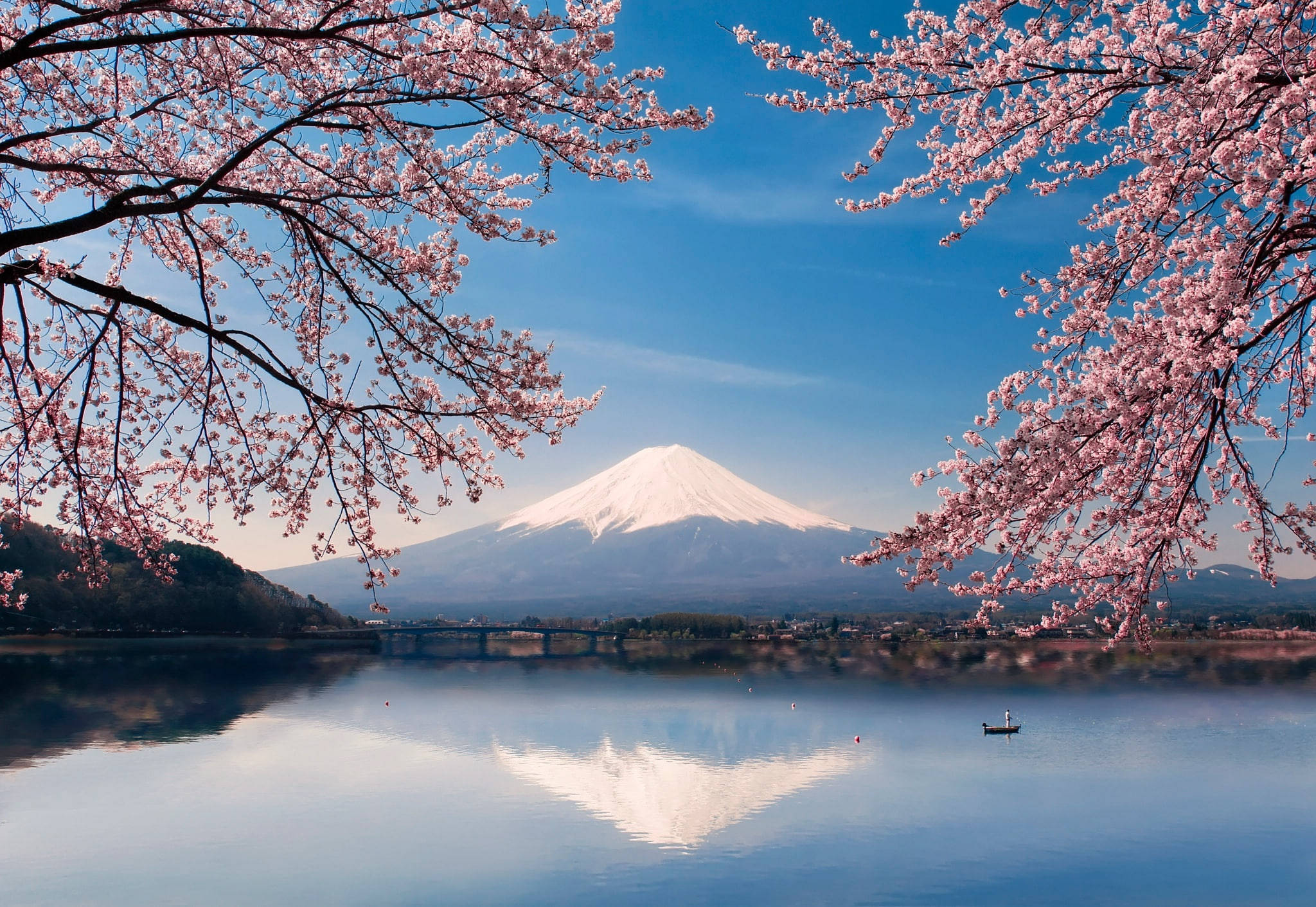 日本 桌布 壁紙 — 白雪覆蓋的富士山在平靜的水面上完美倒映，周圍環繞著鮮豔的粉紅色櫻花，背景是清澈的藍天。