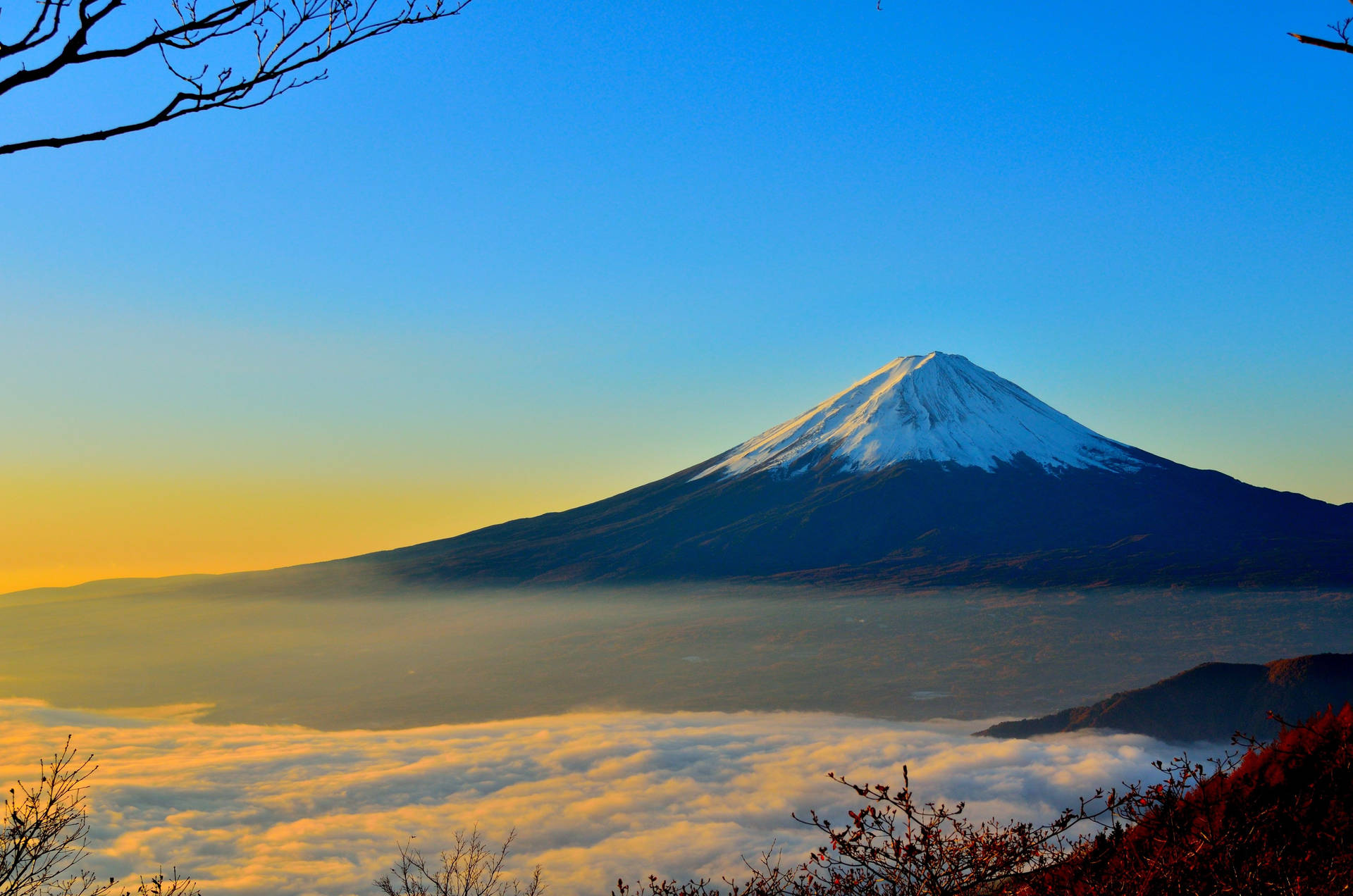 富士山在日出時聳立於雲海之上，由光禿的樹枝框住。 — 東京 Ravens 壁紙