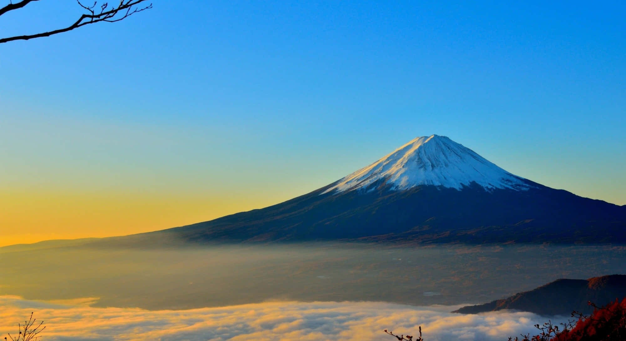 藝術 桌布 壁紙 — 白雪覆蓋的富士山在日出時雄偉地聳立在金色雲海之上，光禿的樹枝框住了景色。