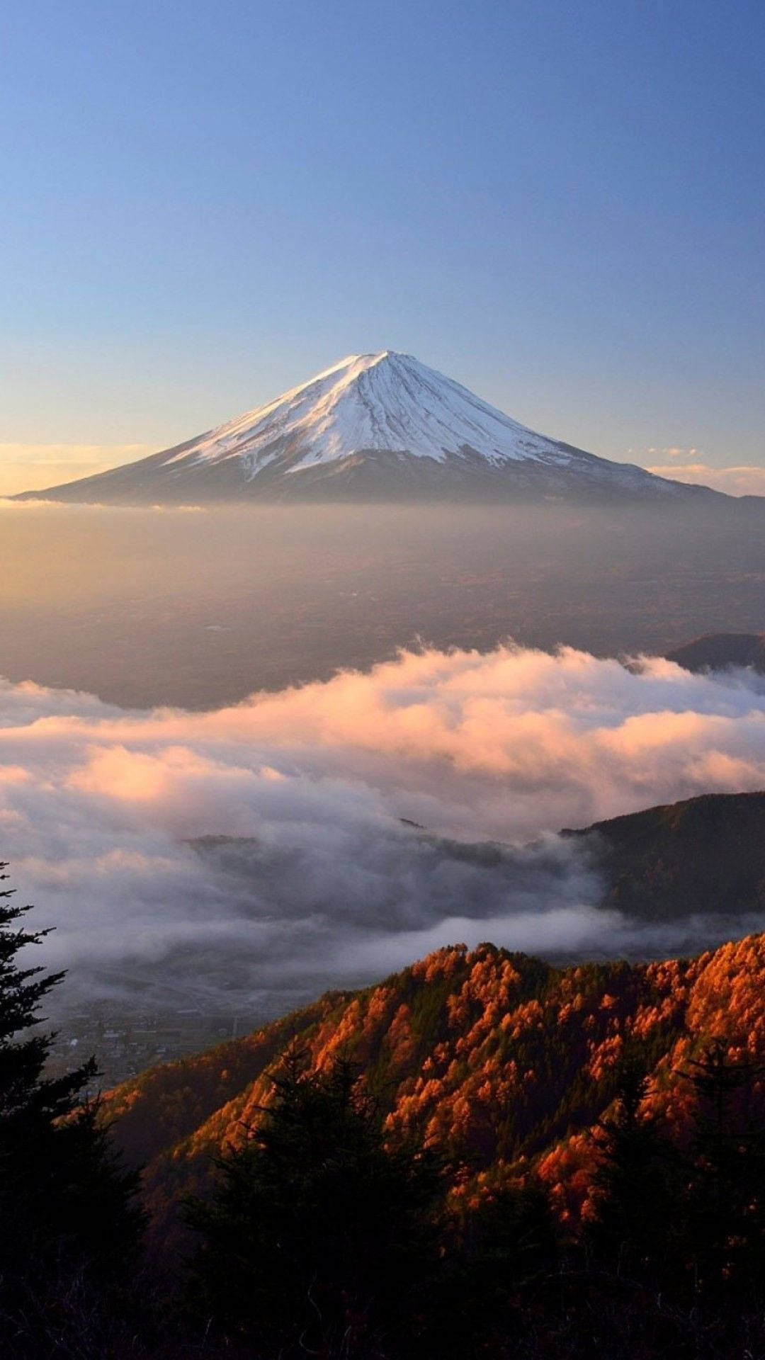 富士山 桌布 壁紙 — 白雪覆蓋的富士山在日出時雄偉地聳立在金色雲海之上，下方秋葉閃耀。