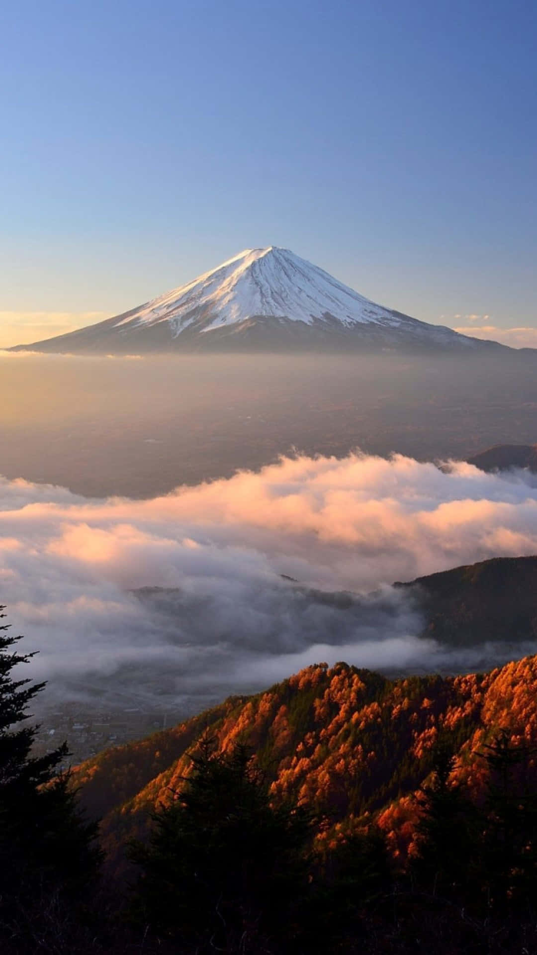 日本 桌布 壁紙 — 白雪覆蓋的富士山在日出時雄偉地聳立在金色雲海之上，下方秋葉閃耀。