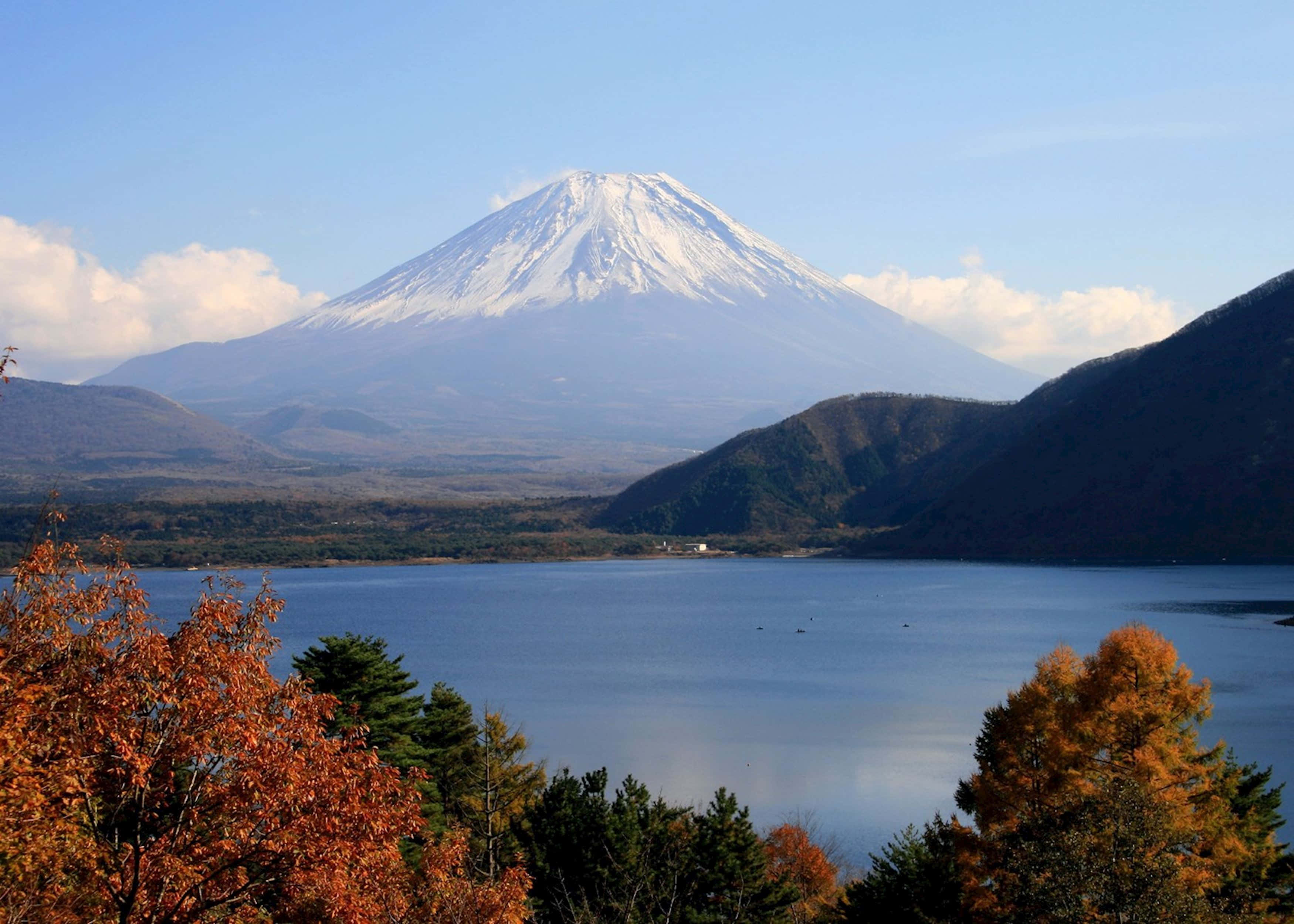 Mt Fuji 桌布 壁紙 — 白雪覆蓋的富士山在晴朗的天空下，在寧靜的藍色湖泊後面雄偉地升起，周圍環繞著充滿活力的秋葉。