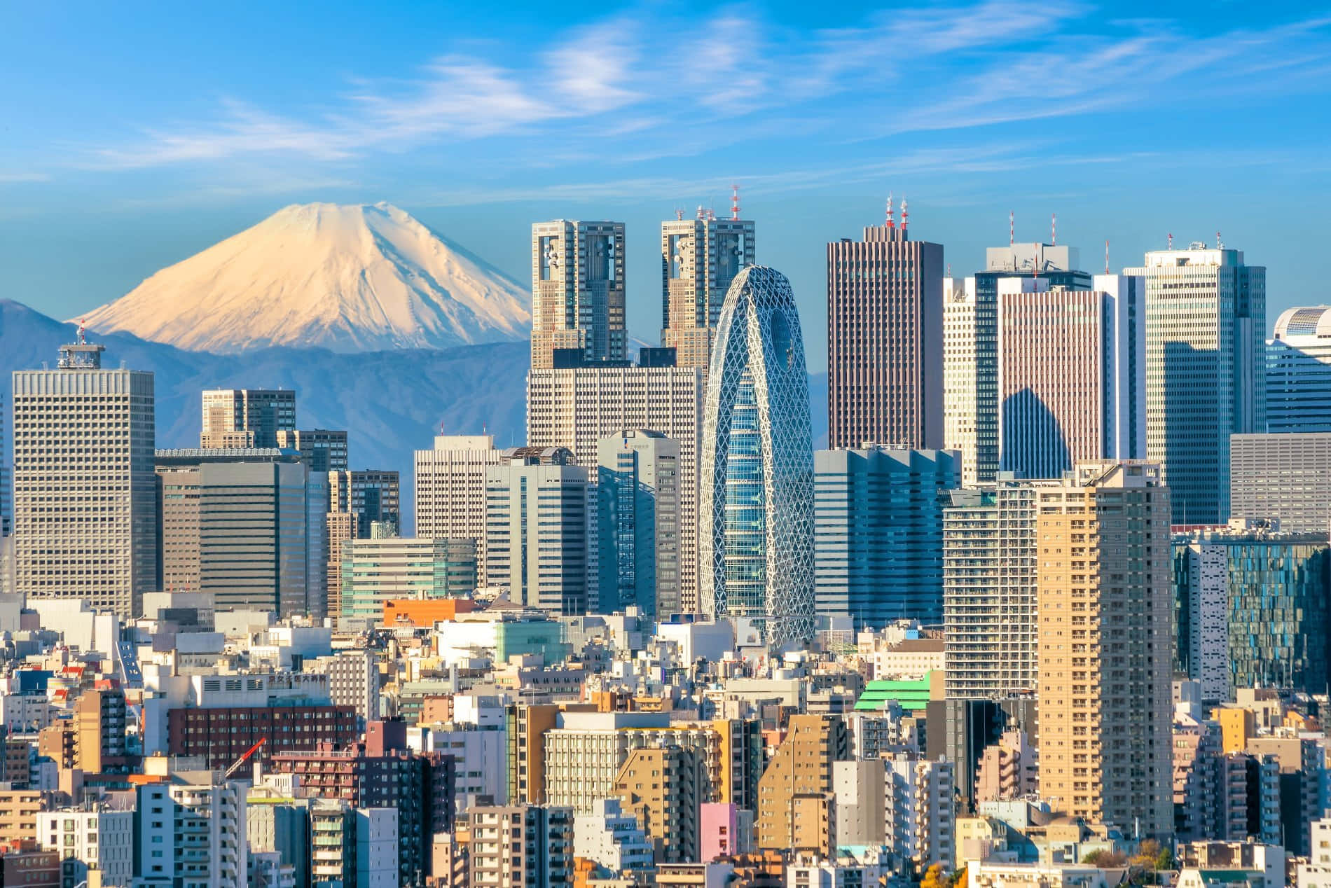 Beautiful City 桌布 壁紙 — 白雪覆蓋的富士山在晴朗的藍天下，雄偉地聳立在東京現代摩天大樓的背後。