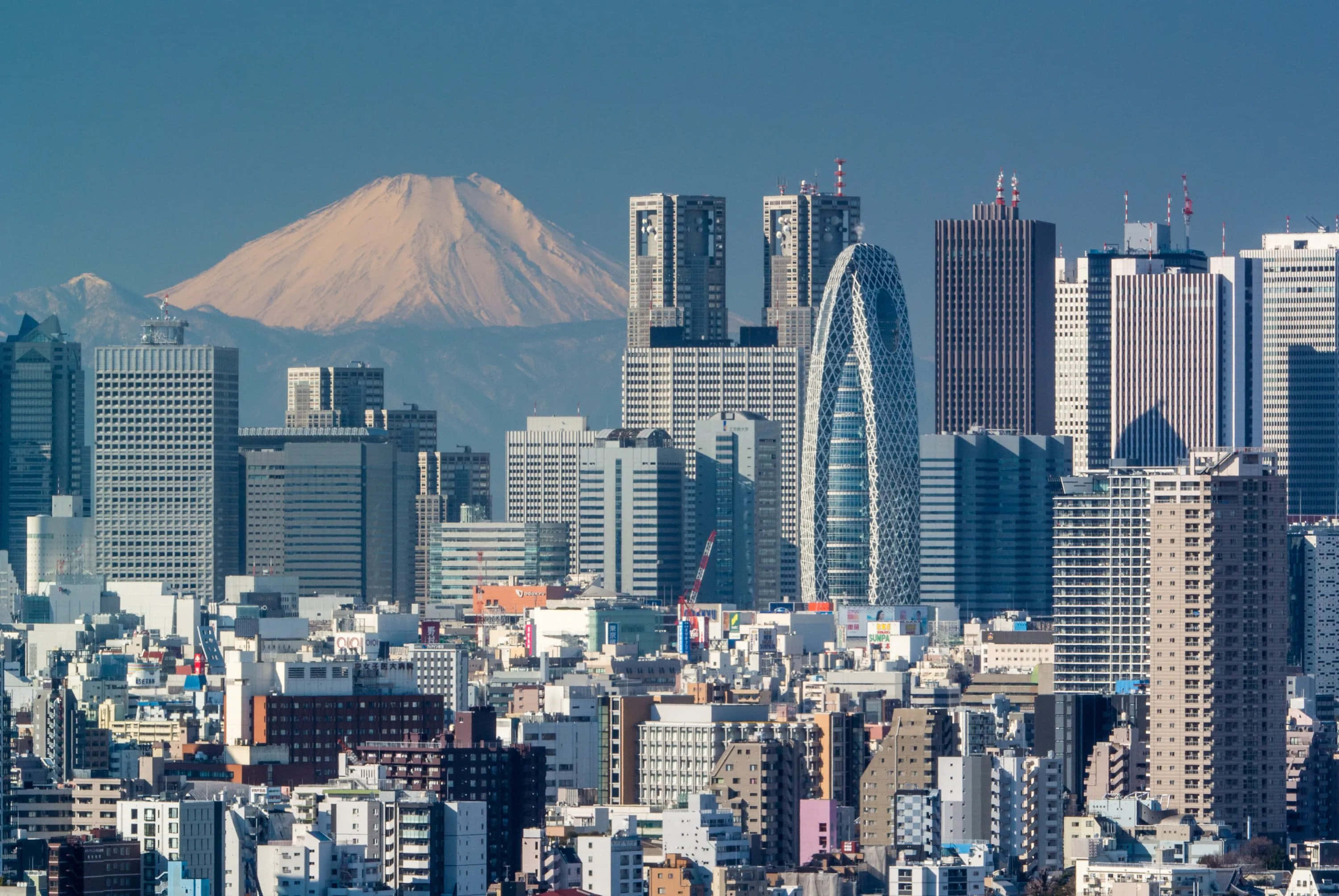 東京 桌布 壁紙 — 白雪覆蓋的富士山在晴朗的藍天下，雄偉地聳立在東京現代摩天大樓的背後。