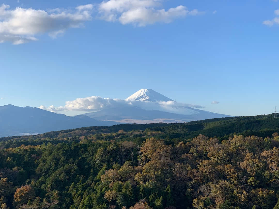 Mt Fuji 桌布 壁紙 — 白雪覆蓋的富士山在晴朗藍天和零星白雲下，雄偉地聳立於森林覆蓋的山坡之上。