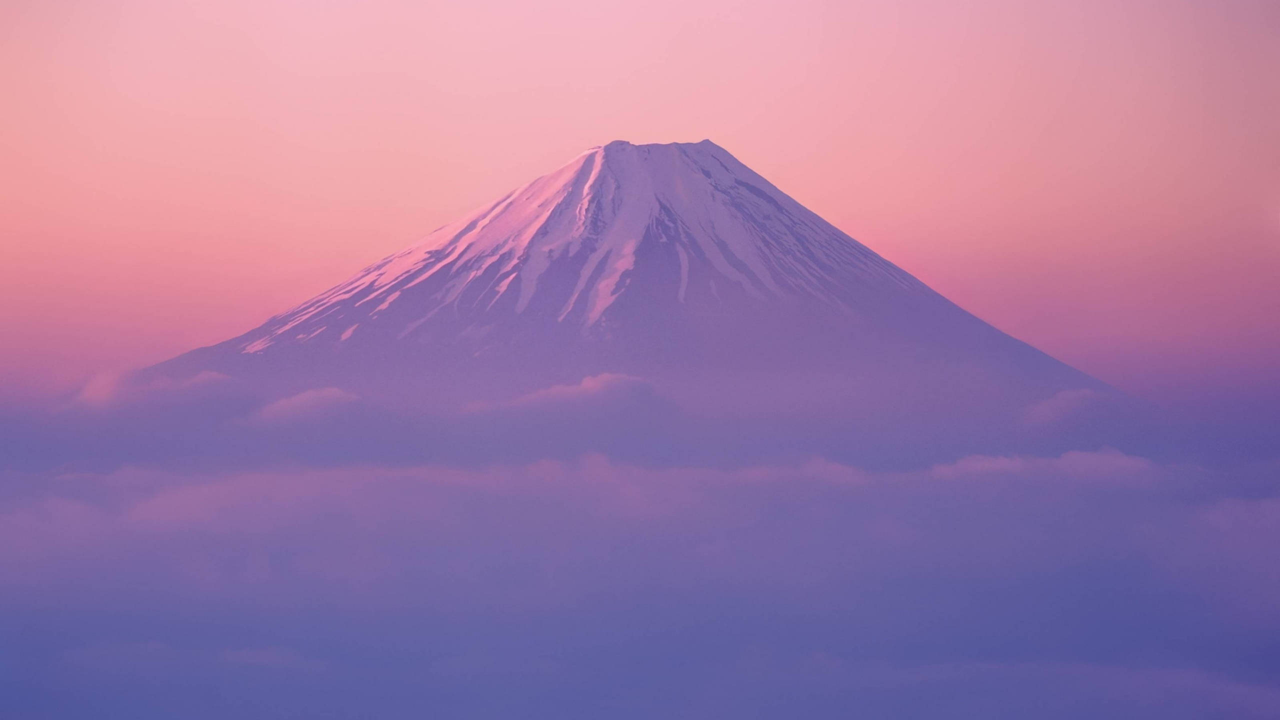 日本 桌布 壁紙 — 白雪覆蓋的富士山在沐浴在柔和粉紅和紫色暮色中的雲海之上雄偉地聳立。