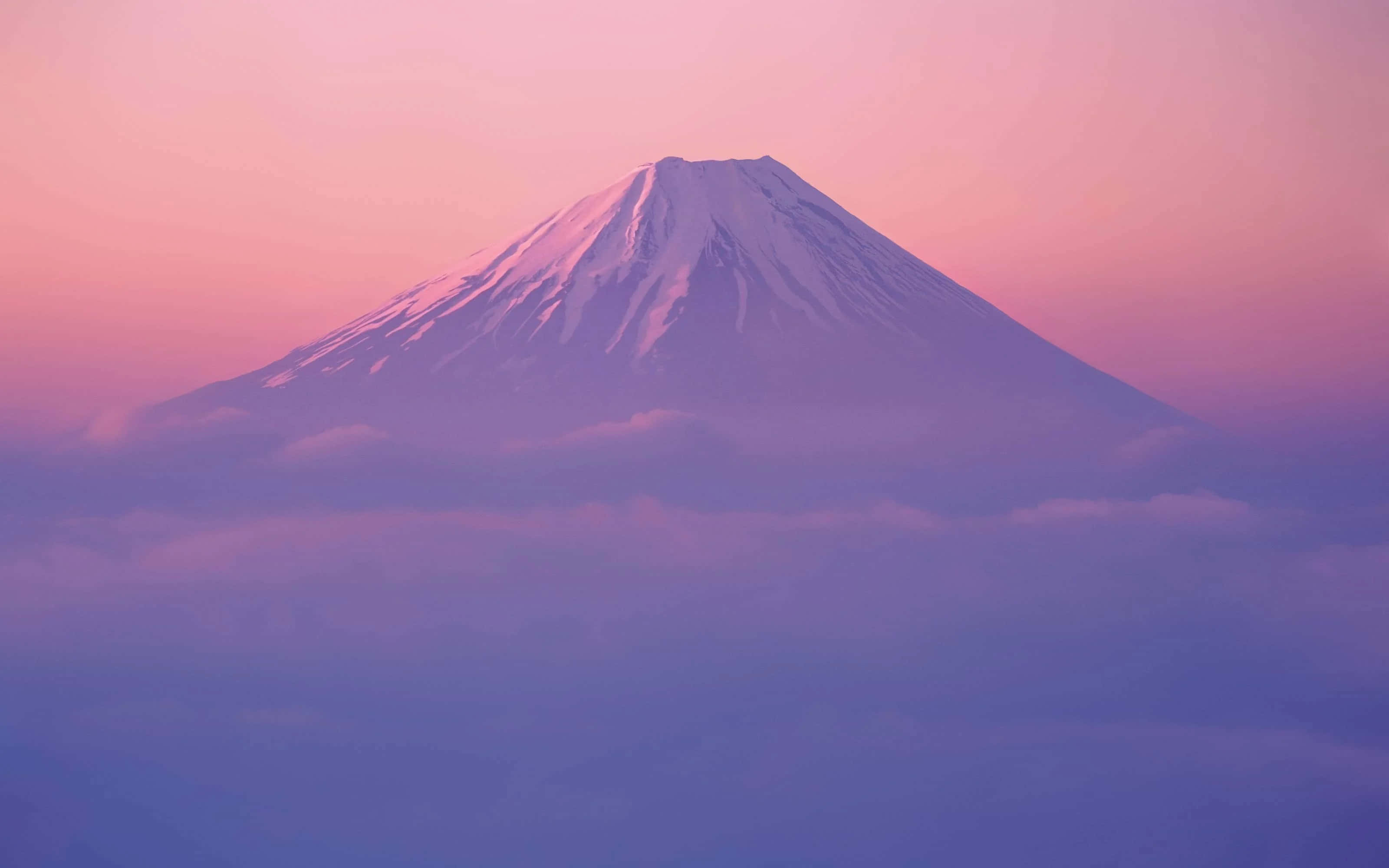 Mt Fuji 桌布 壁紙 — 白雪覆蓋的富士山在沐浴在柔和粉紅和紫色暮色中的雲海之上雄偉地聳立。