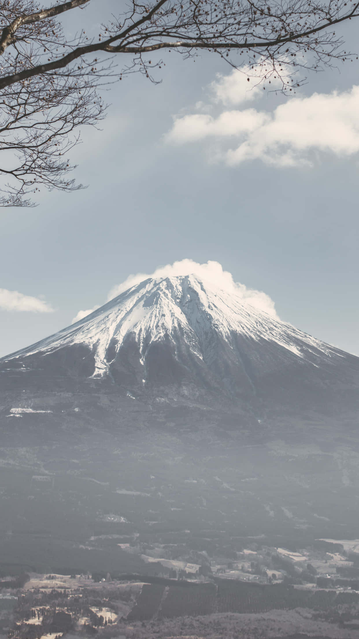 Japanese iPhone 桌布 壁紙 — 白雪覆蓋的富士山在蒼白的天空下巍然聳立，周圍是光禿的樹枝。