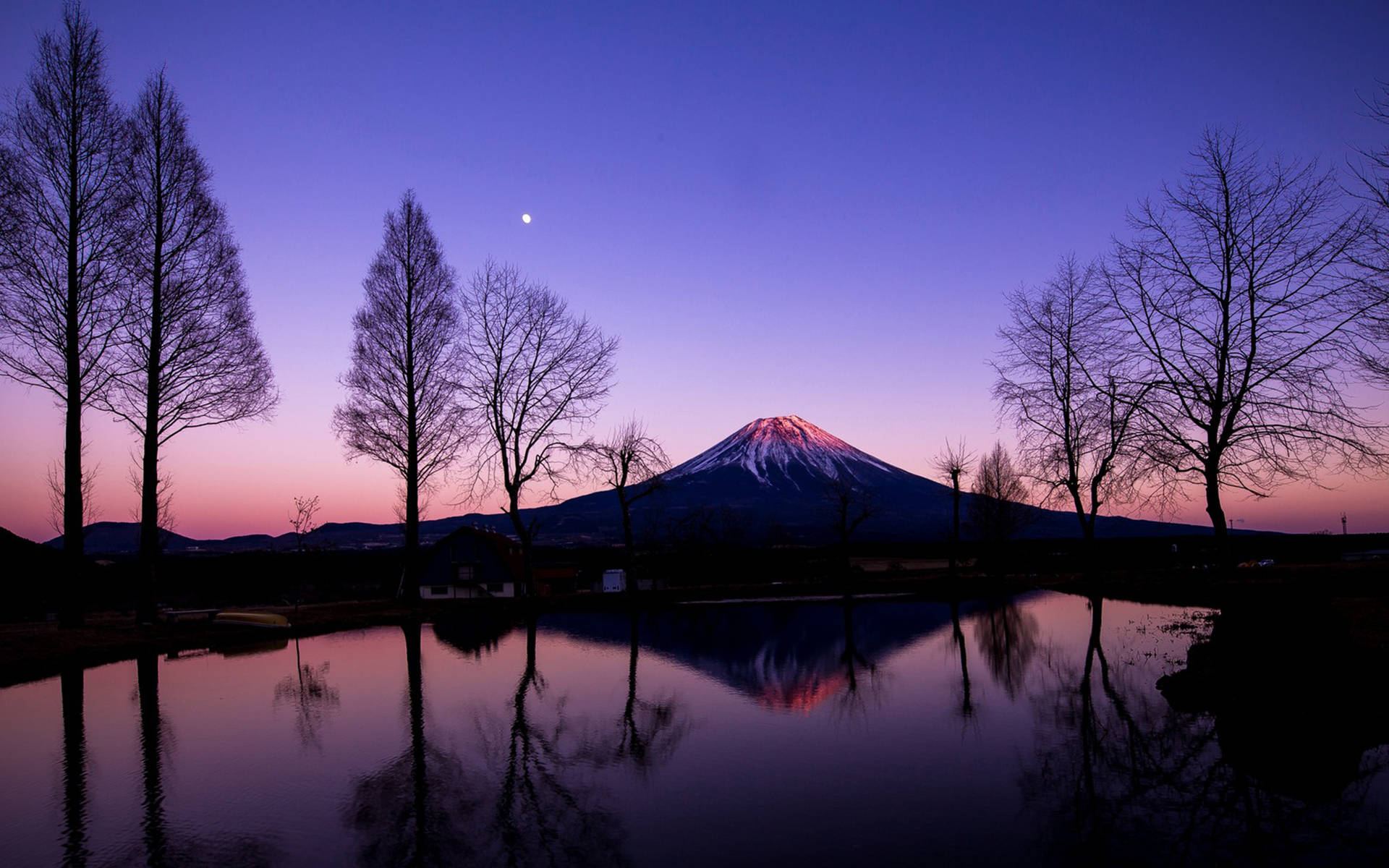 富士山 桌布 壁紙 — 白雪覆蓋的富士山在黃昏時散發粉紅和紫色光芒，倒映在平靜的水面上，由光禿的樹木和一彎新月框住。