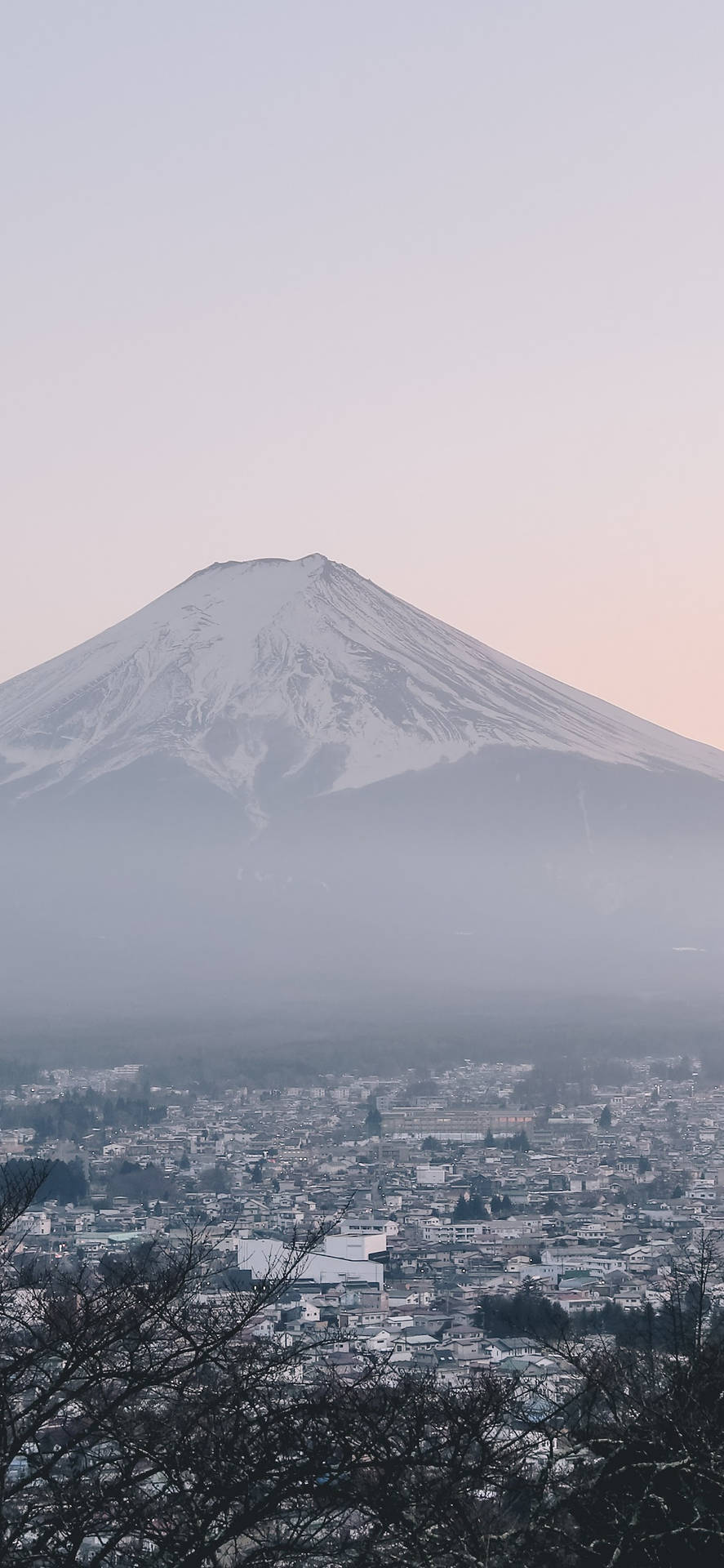白雪覆蓋的富士山在黎明時分，以柔和的粉紅色和灰色調，聳立在霧氣瀰漫的小鎮之上。