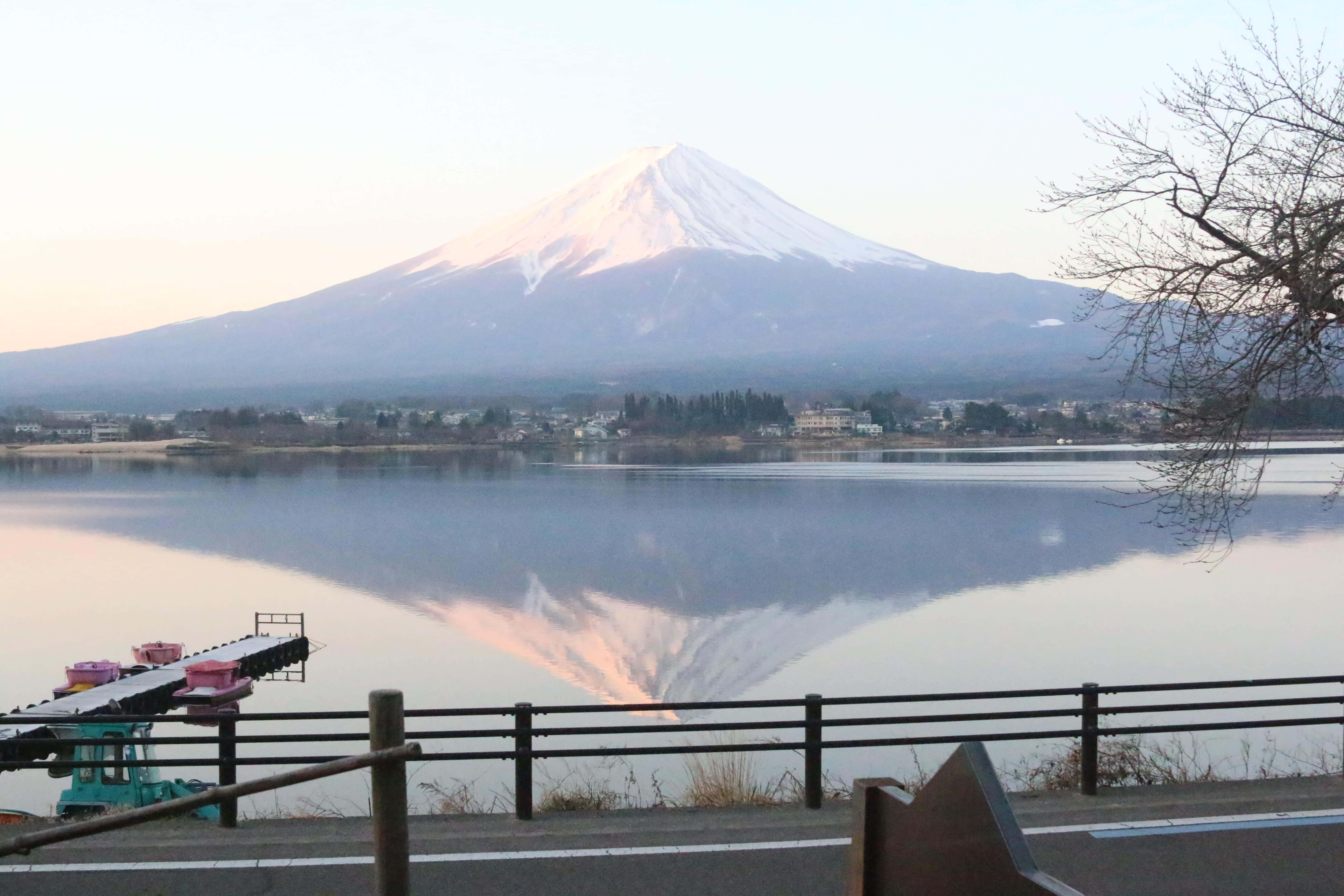 Mt Fuji 桌布 壁紙 — 白雪覆蓋的富士山在黎明時分完美倒映在平靜的湖面上，光禿的樹枝框住了景色。