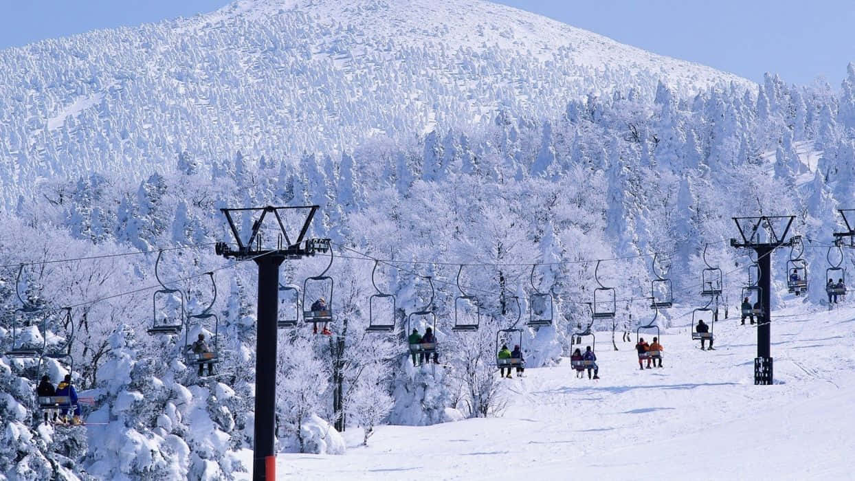 Ski Resort 桌布 壁紙 — 白雪覆蓋的山坡，滑雪纜車載著滑雪者經過積雪的常青樹，在清澈的藍天下。