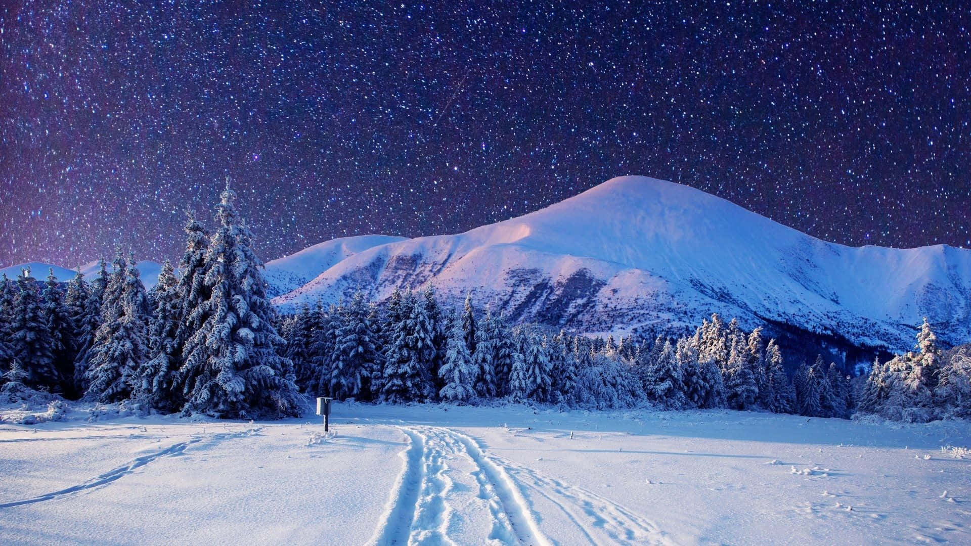 Snowy Landscape 桌布 壁紙 — 白雪覆蓋的山峰，星空下，前景有雪松和滑雪道。