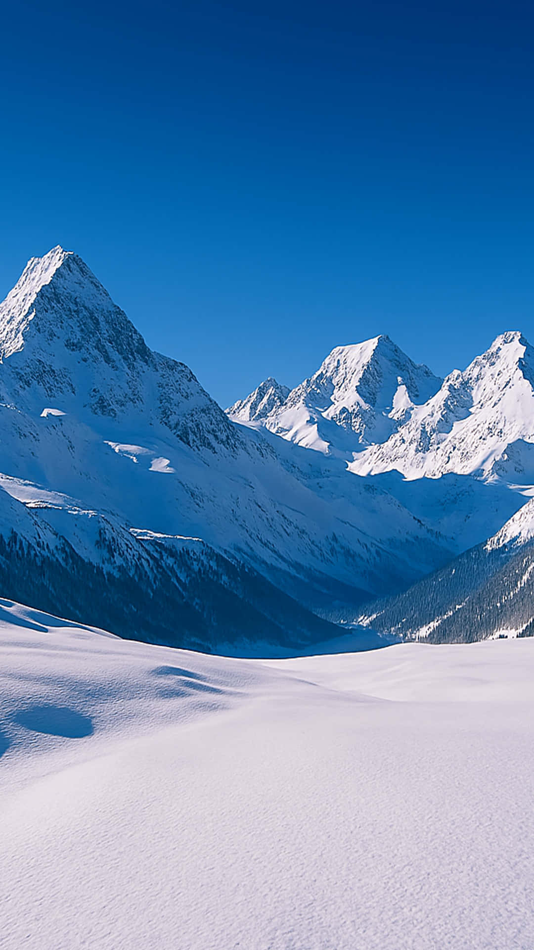 雪 桌布 壁紙 — 白雪覆蓋的山峰刺穿晴朗的藍天，下方是廣闊起伏的雪原。