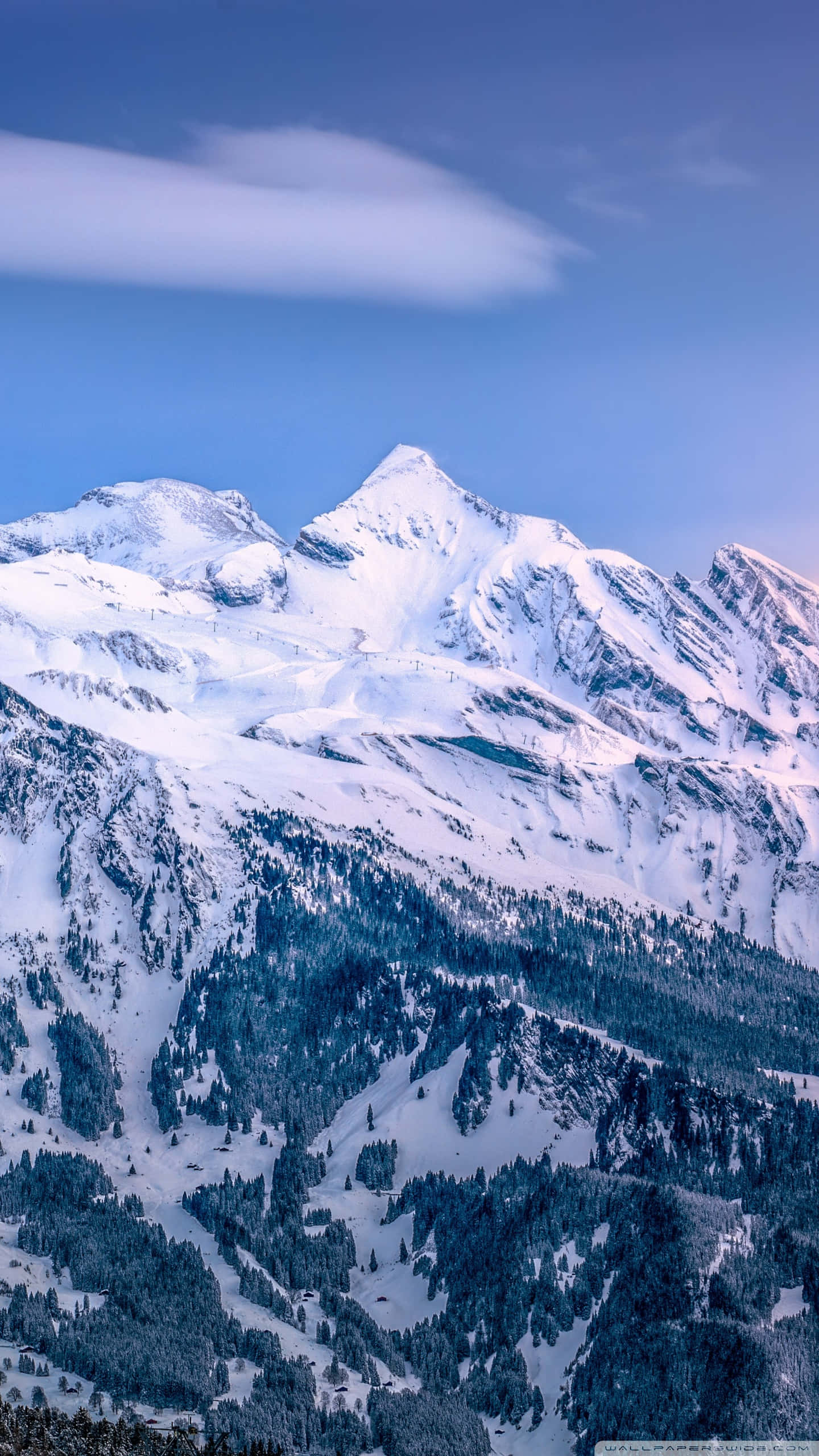 Ski Mountain 桌布 壁紙 — 白雪覆蓋的山峰刺穿清澈的藍天，薄雲在茂密的常綠森林上空飄移。