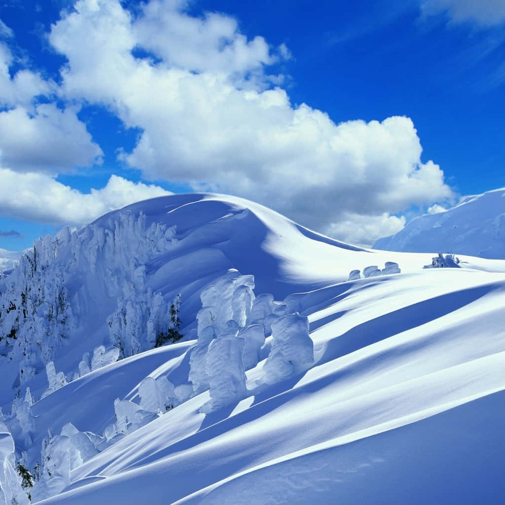 冬天 桌布 壁紙 — 白雪覆蓋的山峰和樹木，在明亮的藍天下有蓬鬆的白雲。