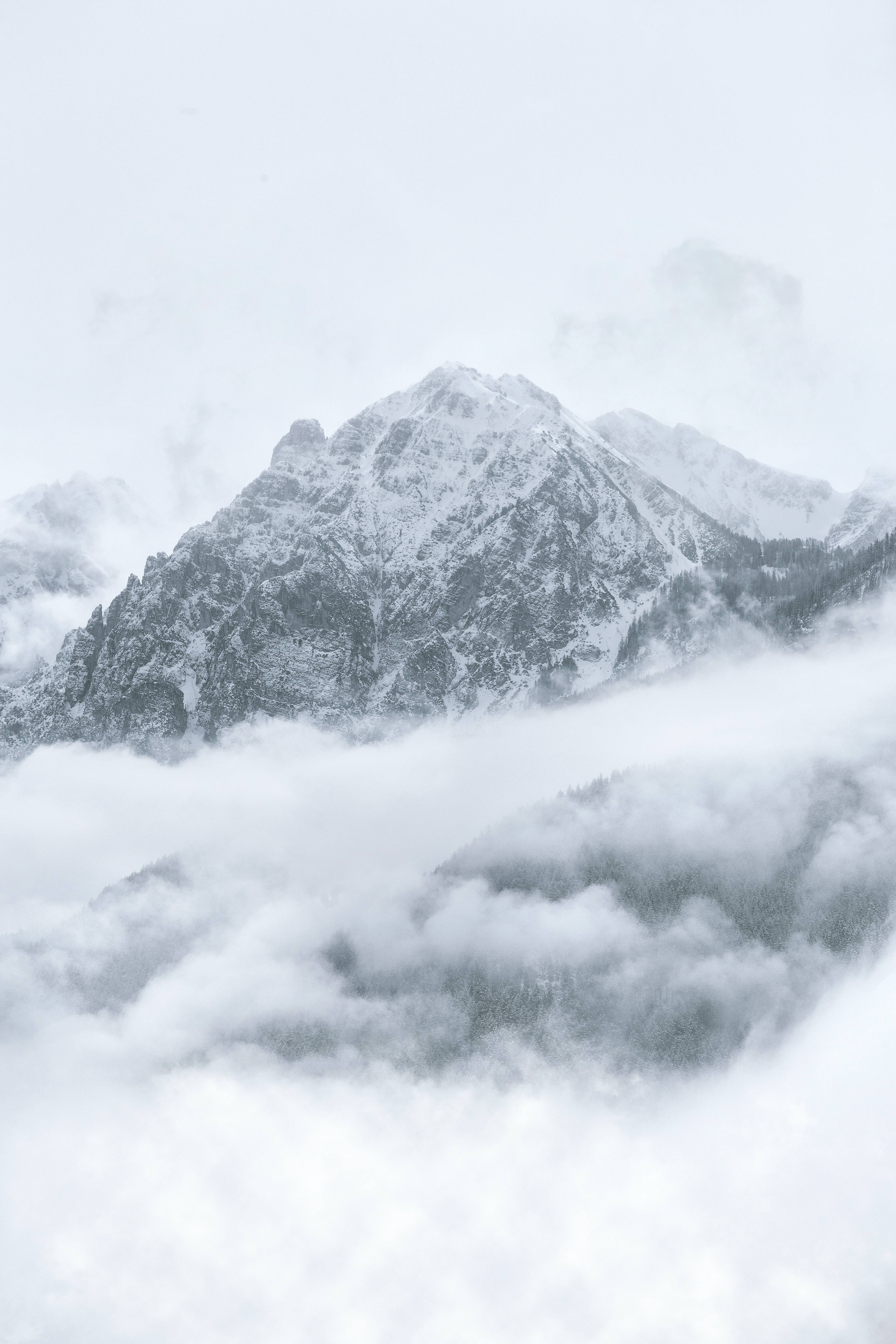 酷寒冬季 桌布 壁紙 — 白雪覆蓋的山峰在單色冬季場景中，雄偉地聳立在翻滾的雲海之上。