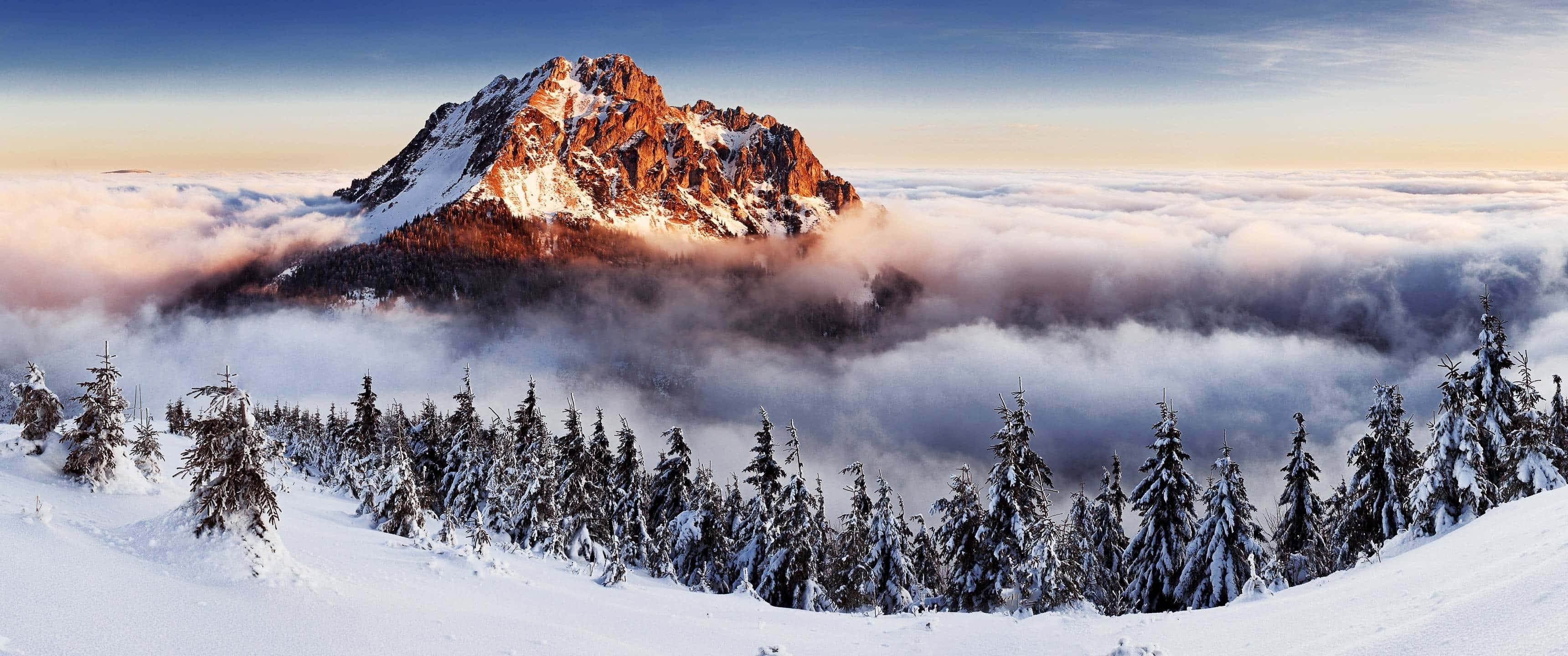 日出時雲海上的白雪山峰與常青樹 — 4K 丰田Supra 壁紙 壁紙