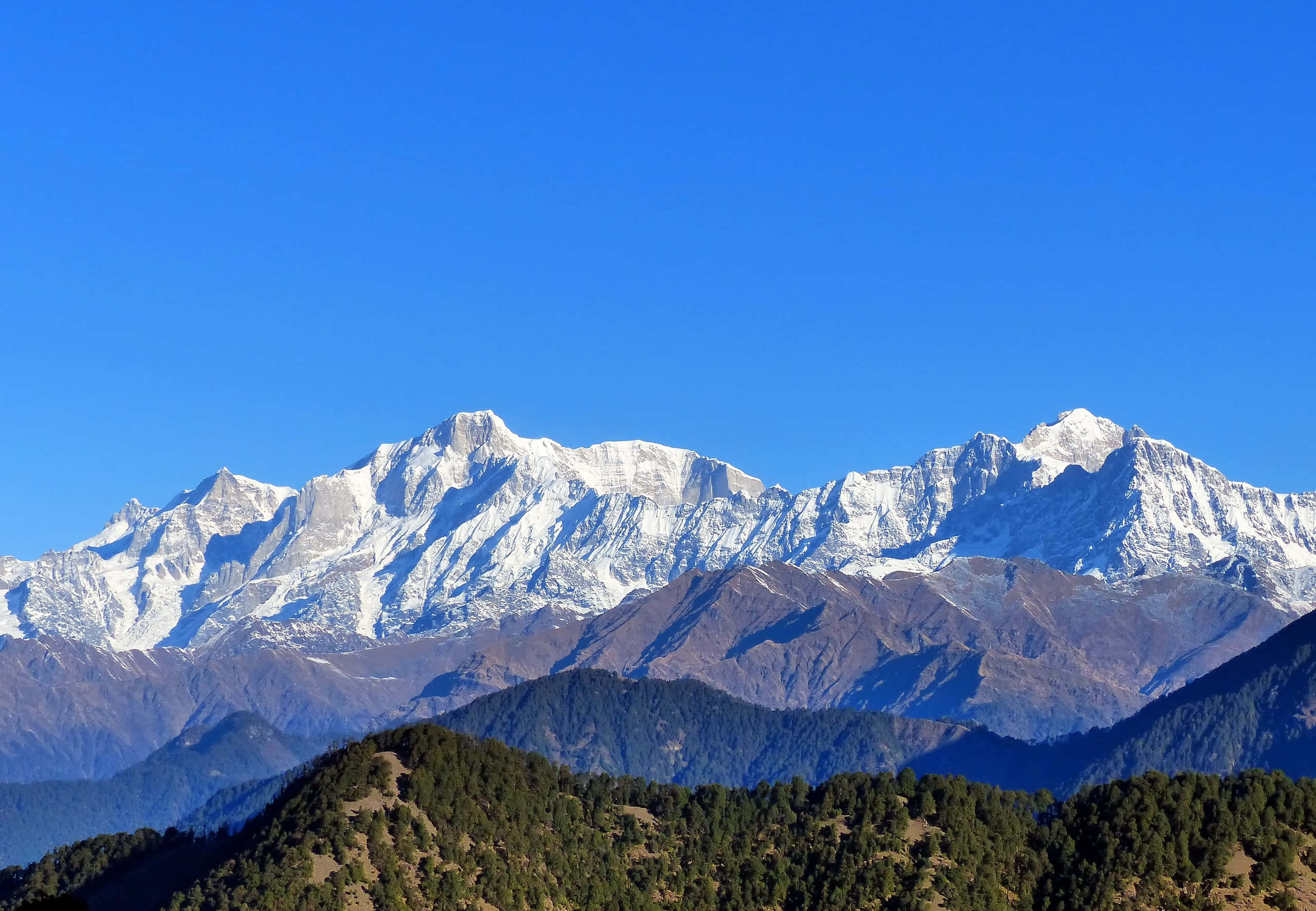 Kedarnath 桌布 壁紙 — 白雪覆蓋的山峰在明亮的日光下，穿透層層森林覆蓋的山丘之上的清澈藍天。