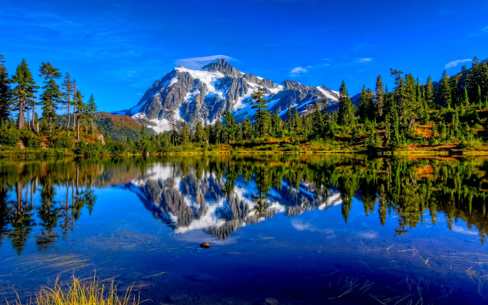 Lake 桌布 壁紙 — 白雪覆蓋的山峰在晴朗藍天下完美倒映在由常綠樹環繞的寧靜高山湖中。